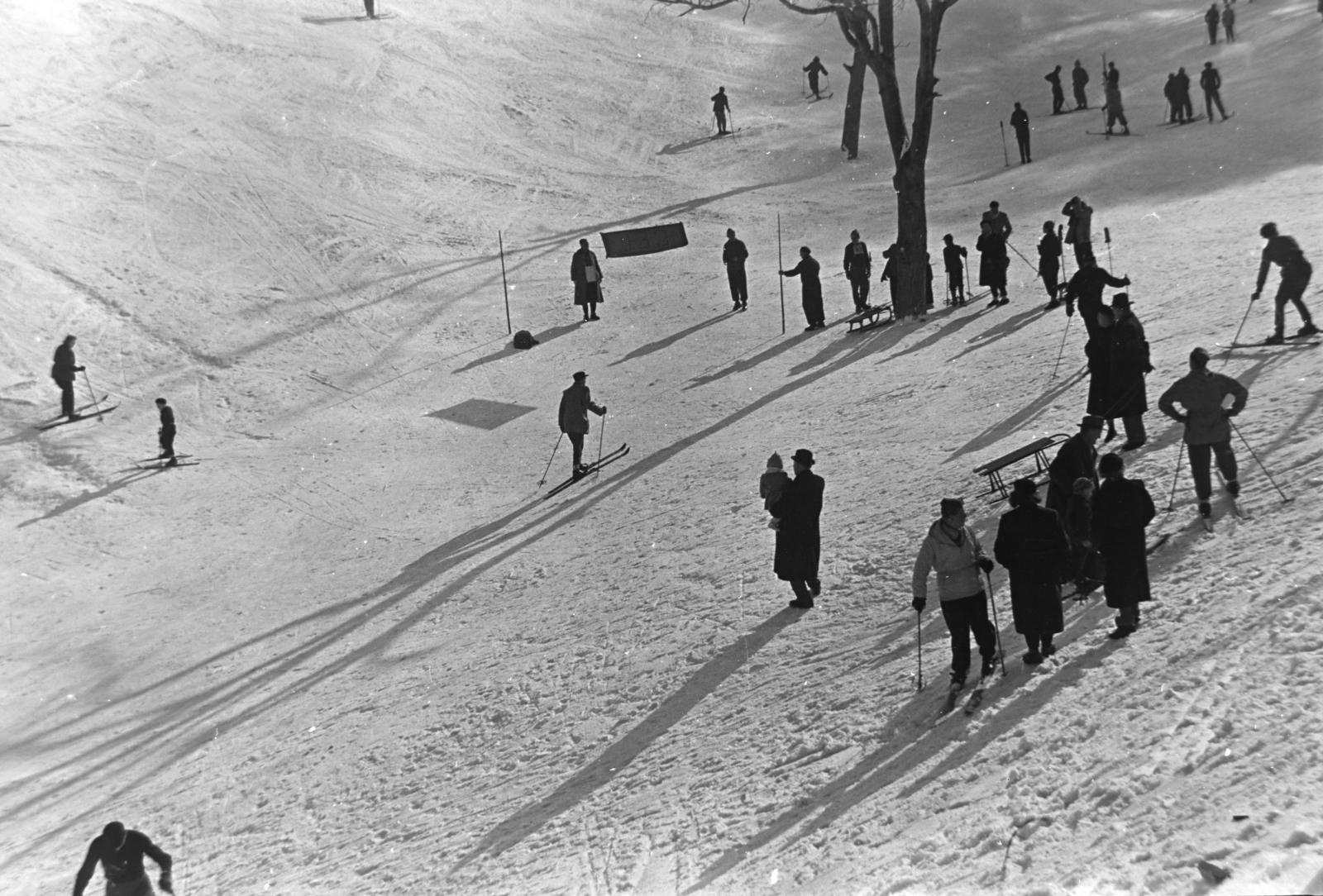 Magyarország, Budapest XII., Harangvölgy a Normafa alatt., 1955, Kriss Géza, tél, hó, síelés, Budapest, Fortepan #191877