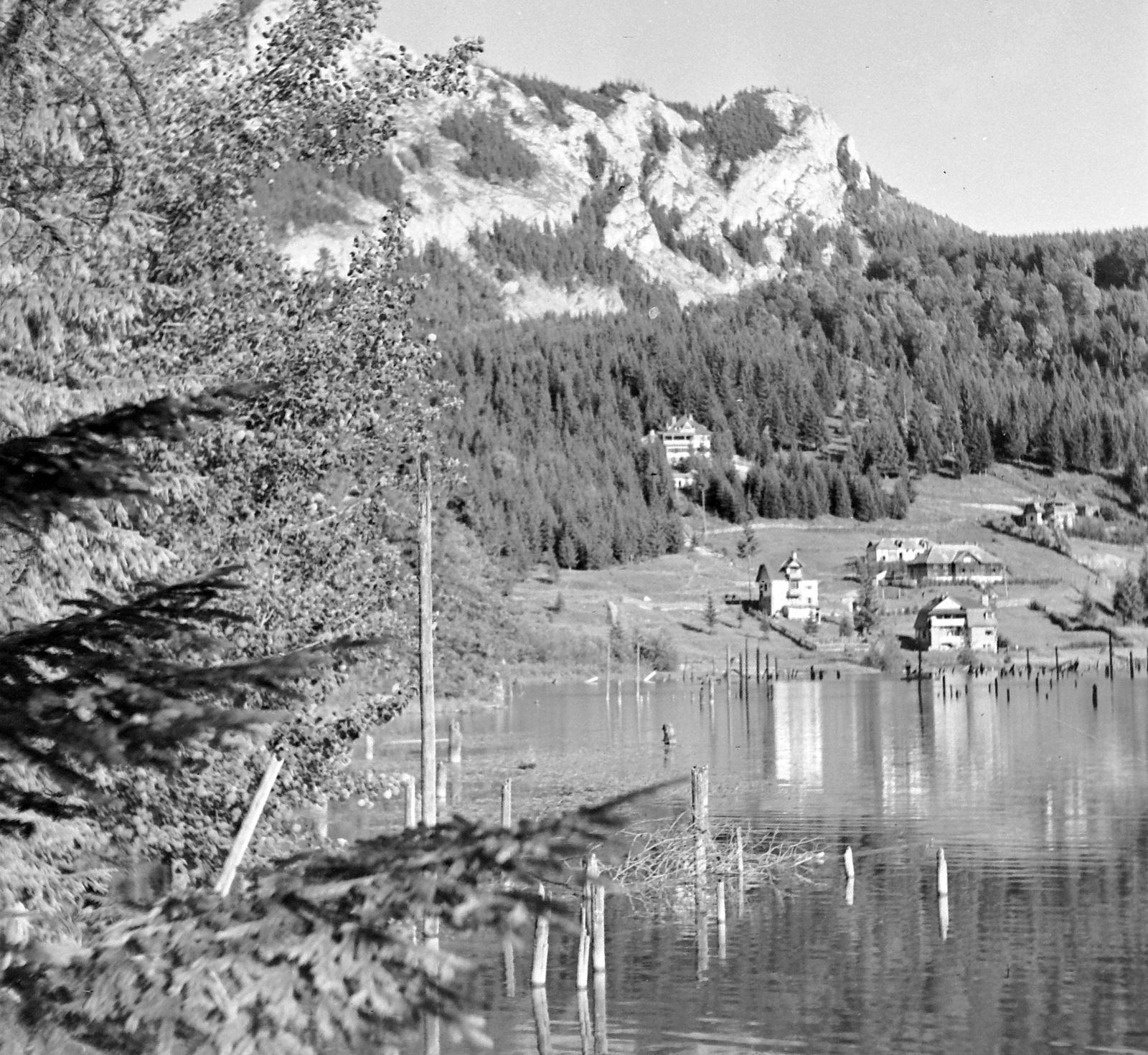 Romania,Transylvania, Lacul Rosu,Hasmas Mountains, 1943, Kurutz Márton, tree stump, Fortepan #10004