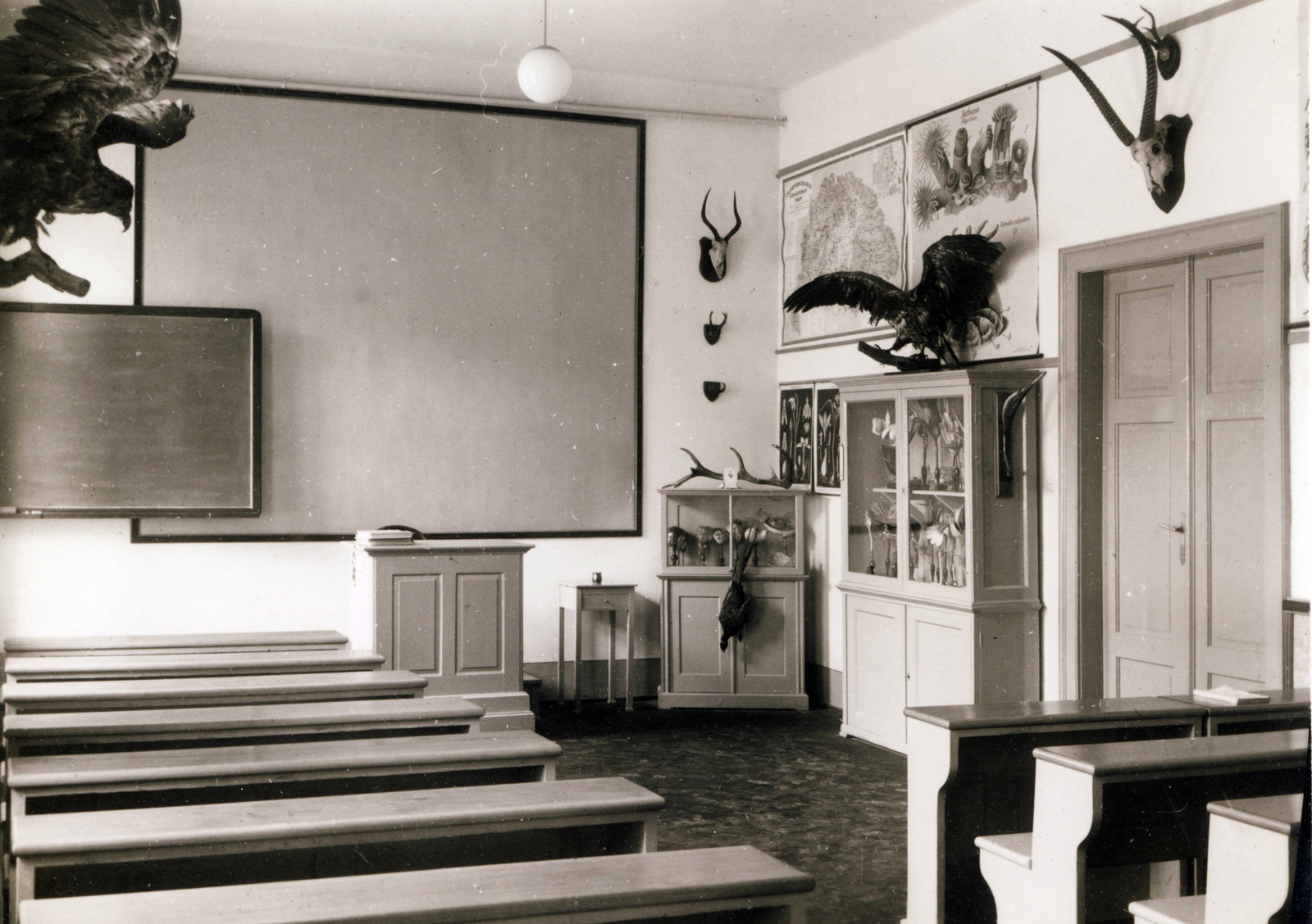 Magyarország, Kalocsa, az Érseki Főgimnázium természetrajz oktatóterme., 1930, Jezsuita Levéltár, térkép, tanterem, trófea, kitömött állat, Fortepan #100040