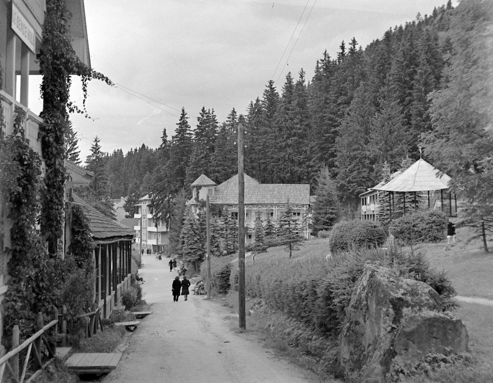 Romania,Transylvania, Băile Tusnad, Fősétány (Aleea Sfânta Ana)., 1943, Kurutz Márton, hedge, Fortepan #10016