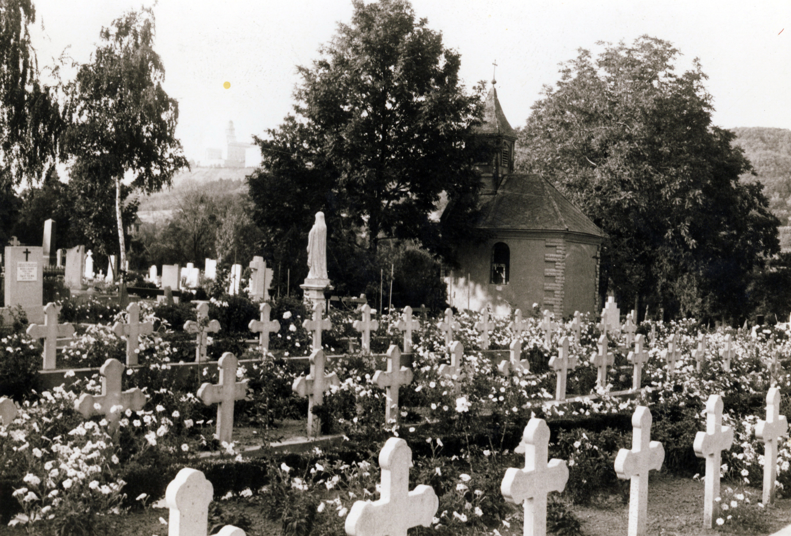 Magyarország, Pannonhalma, szerzetesek parcellája a Pannonhalmi temetőben., 1979, Jezsuita Levéltár, Fortepan #100273