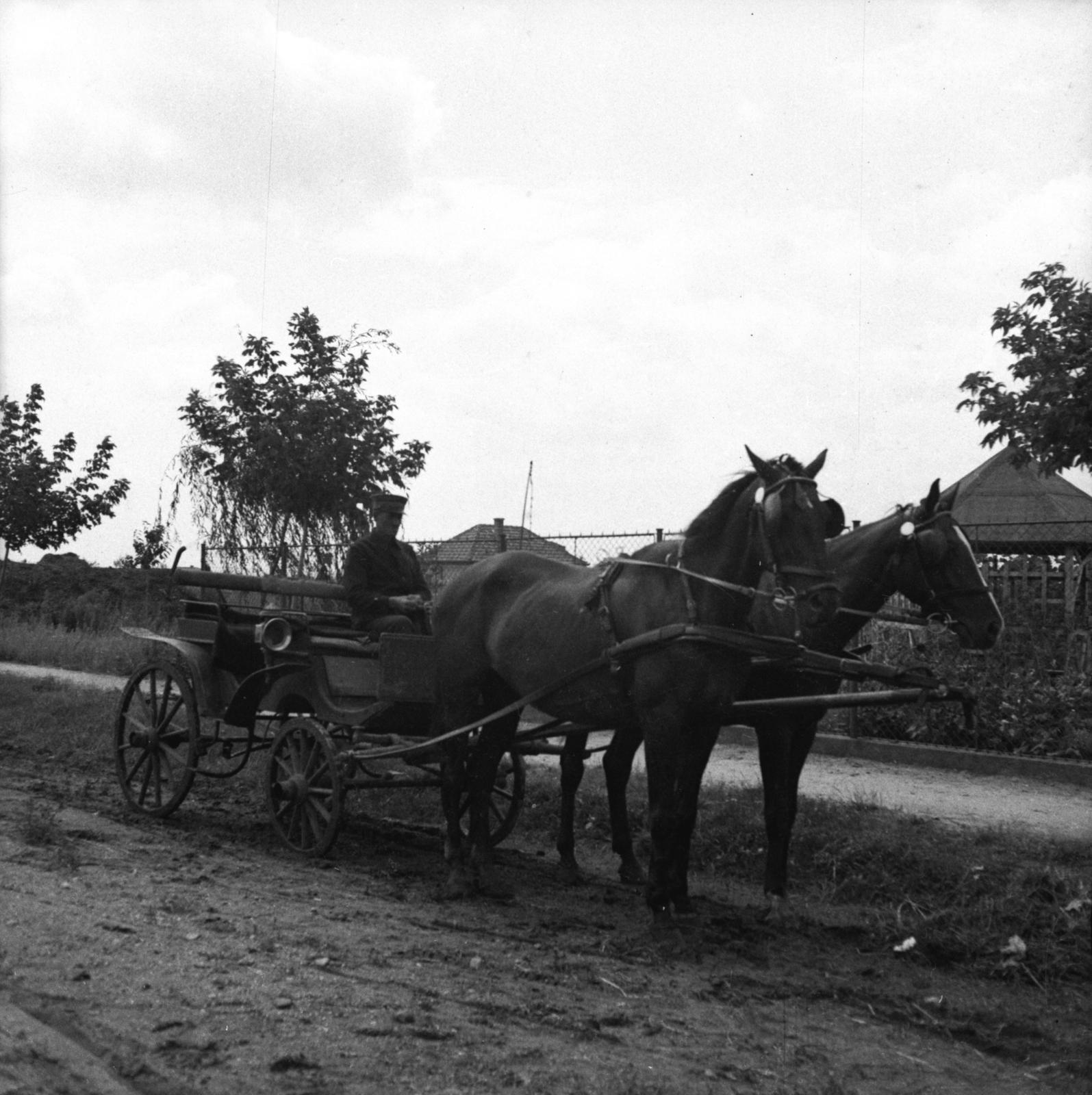 1932, Antal Dániel, carriage, Horse-drawn carriage, Fortepan #100455