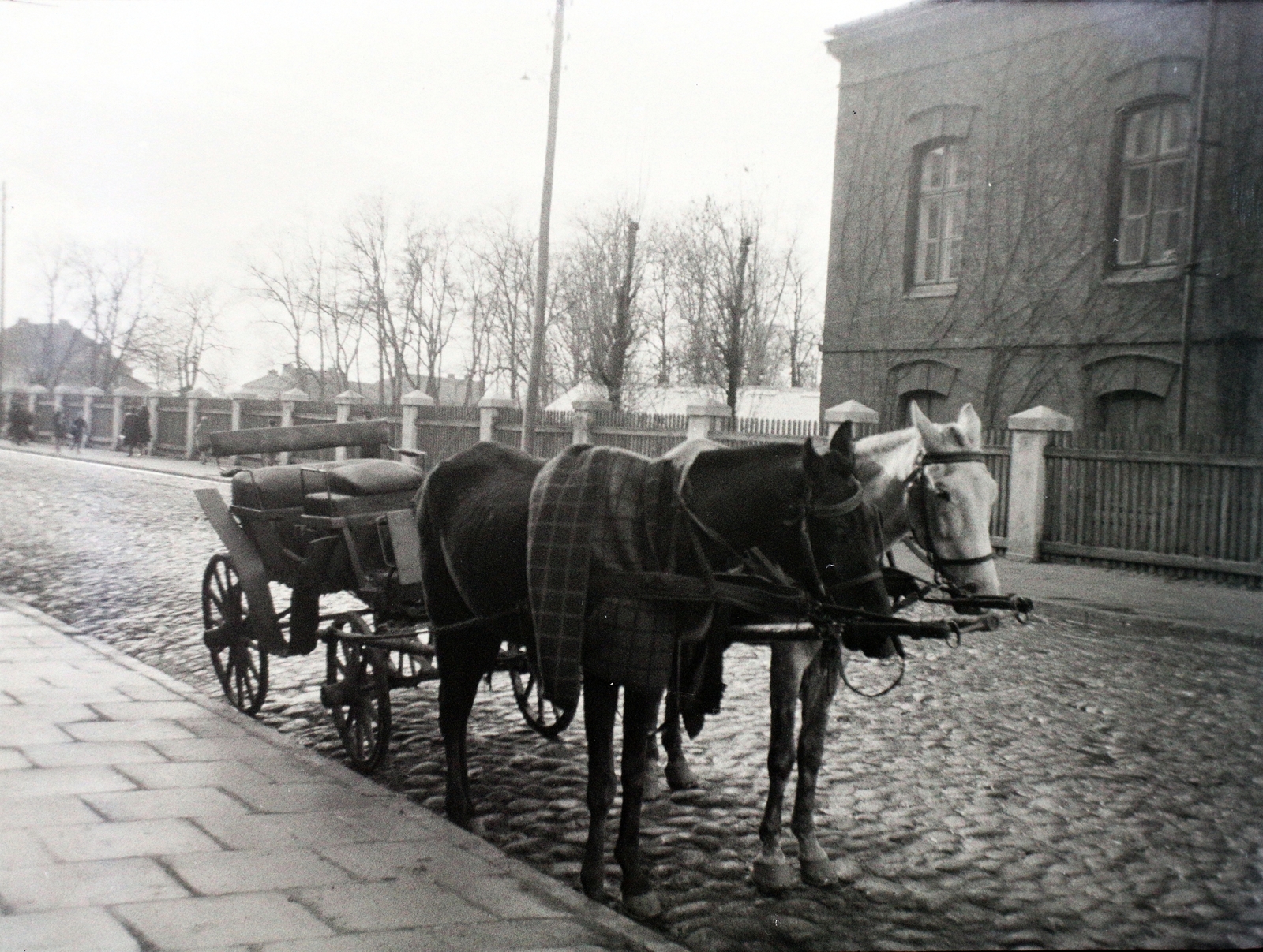 Poland, Skierniewice, ulica Konstytucji 3-go Maja, szemben a Kertészeti Kutatóintézet (Instytut Ogrodnictwa)., 1942, Bogdan Celichowski, coach, Fortepan #100537