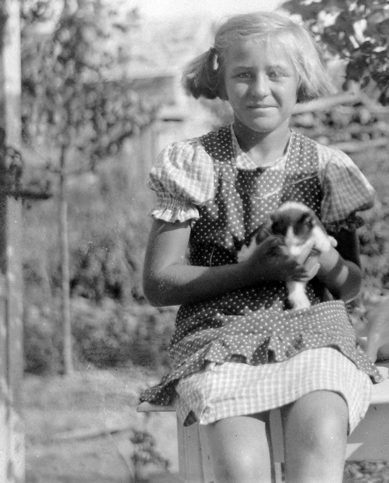 1943, Kurutz Márton, cat, Fortepan #10063