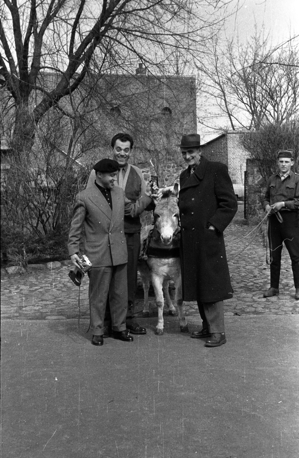 1964, Dobóczi Zsolt, vidámság, szamár, fényképezőgép, Fortepan #100657