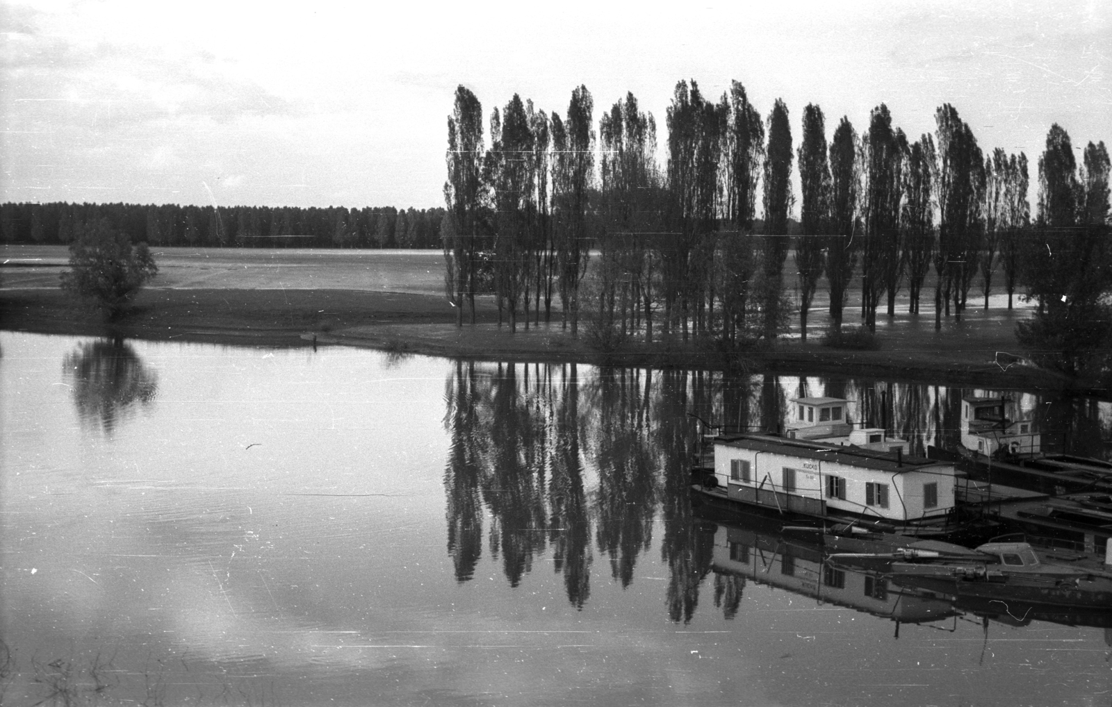 1962, Dobóczi Zsolt, jegenyefasor, víztükör, folyópart, Fortepan #100709