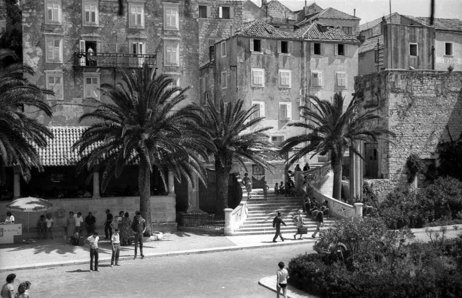 Horvátország,Adria, Korčula sziget,Korčula, óváros a kikötőnél., 1963, Dobóczi Zsolt, erkély, pálmafa, Fortepan #100720