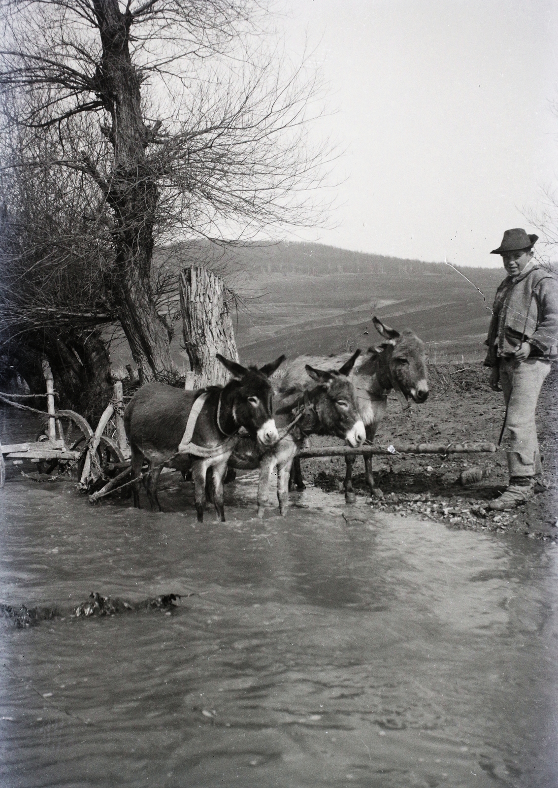 1941, Dobóczi Zsolt, donkey, folk costume, Fortepan #100798