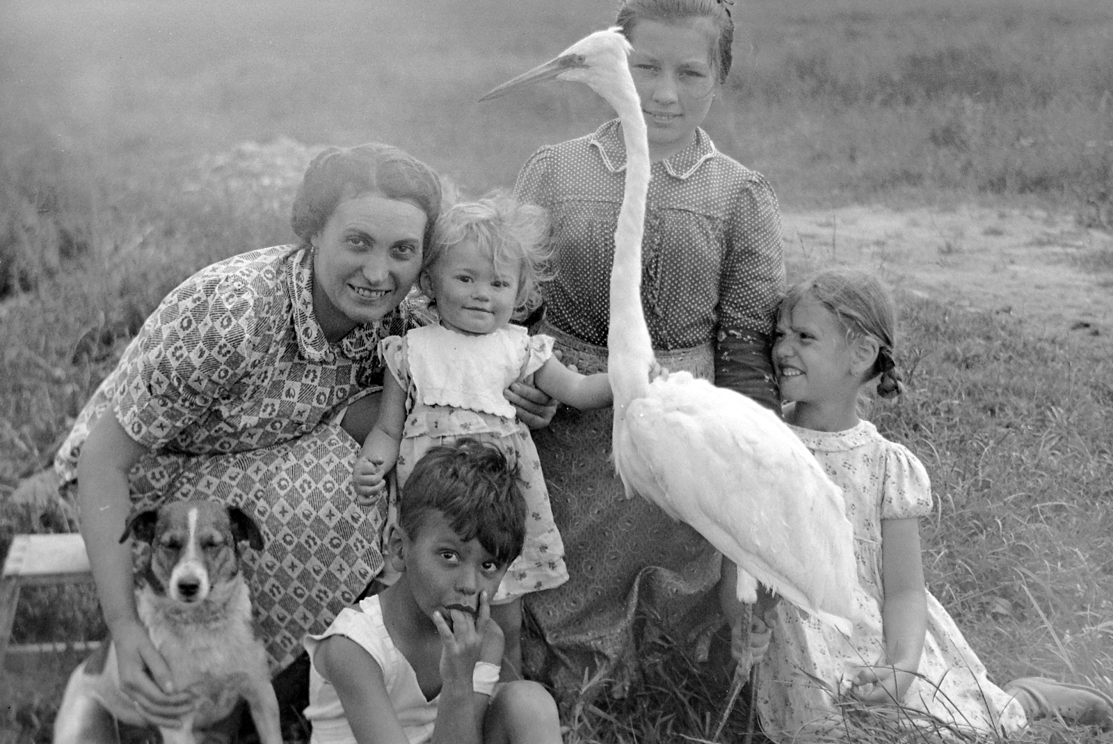 1940, Kurutz Márton, tableau, bird, dog, Fortepan #10081