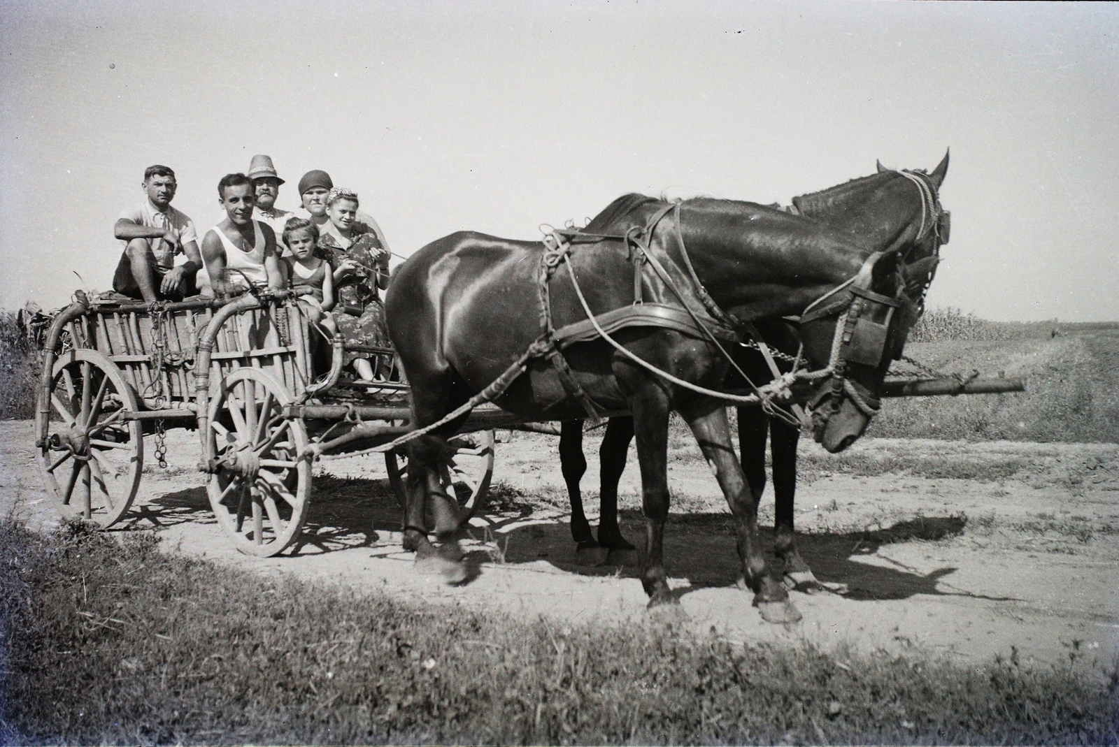 1940, Dobóczi Zsolt, szekér, lovaskocsi, Fortepan #100812