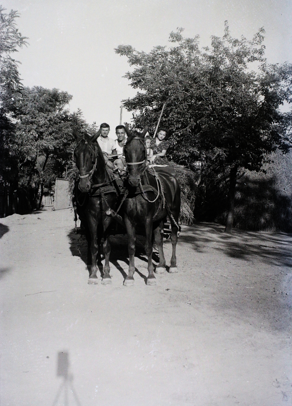 1941, Dobóczi Zsolt, Horse-drawn carriage, Fortepan #100833