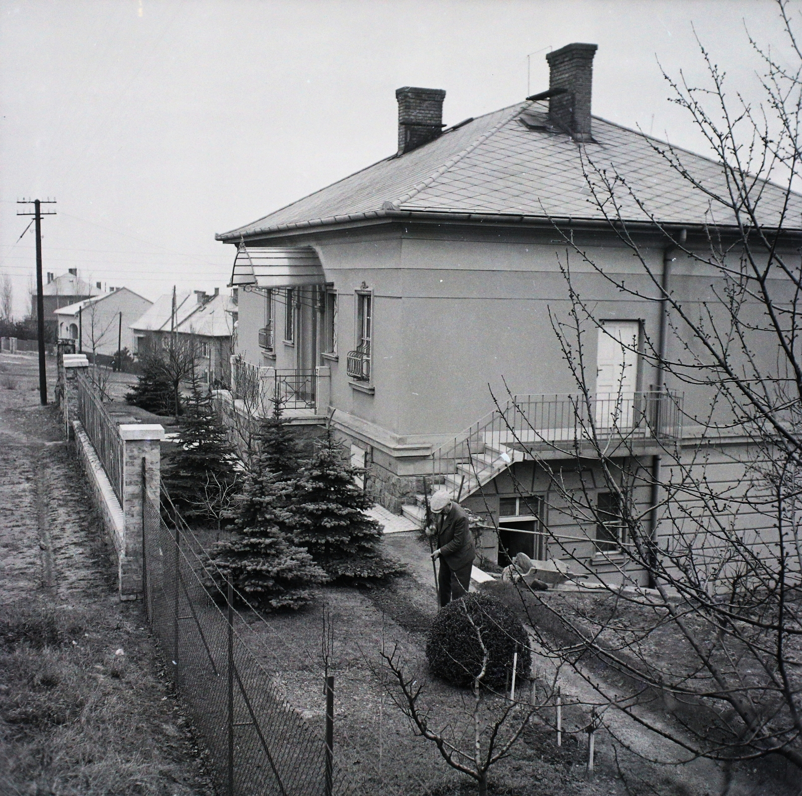 Hungary, Budapest XII., Rácz Aladár út 58. (ekkor Torbágyi út 62.)., 1941, Dobóczi Zsolt, house, pine, Budapest, Fortepan #100835