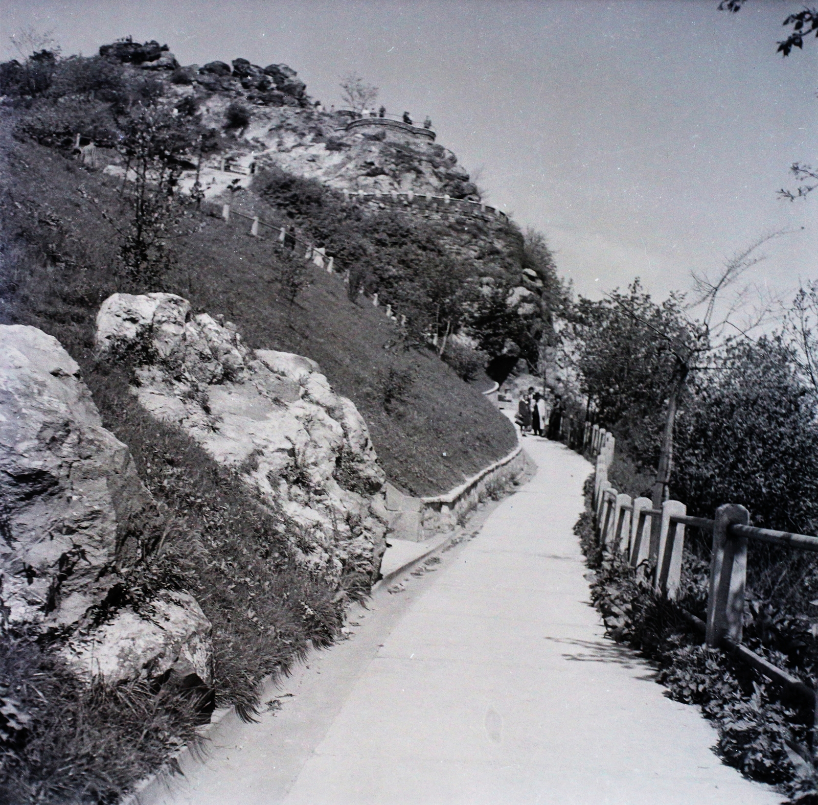 Magyarország, Gellérthegy, Budapest XI., 1941, Dobóczi Zsolt, korlát, sétány, Budapest, Fortepan #100836