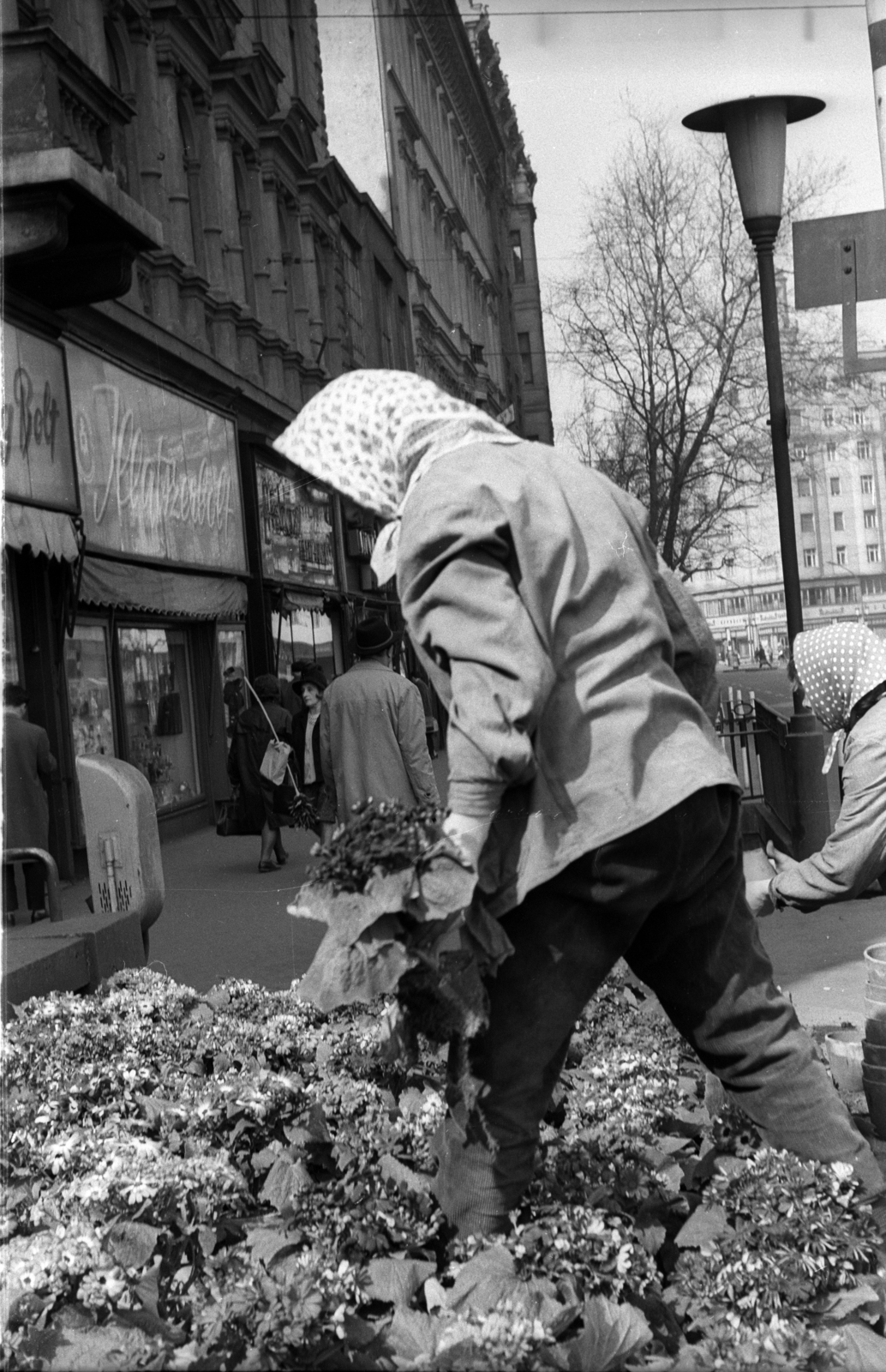 Hungary, Budapest V., virágágyás a Kossuth Lajos utca - Károly (Tanács) körút sarkánál, távolban a Dob utca sarkán álló ház., 1968, Erdei Katalin, lamp post, horticulture, Budapest, Fortepan #100861