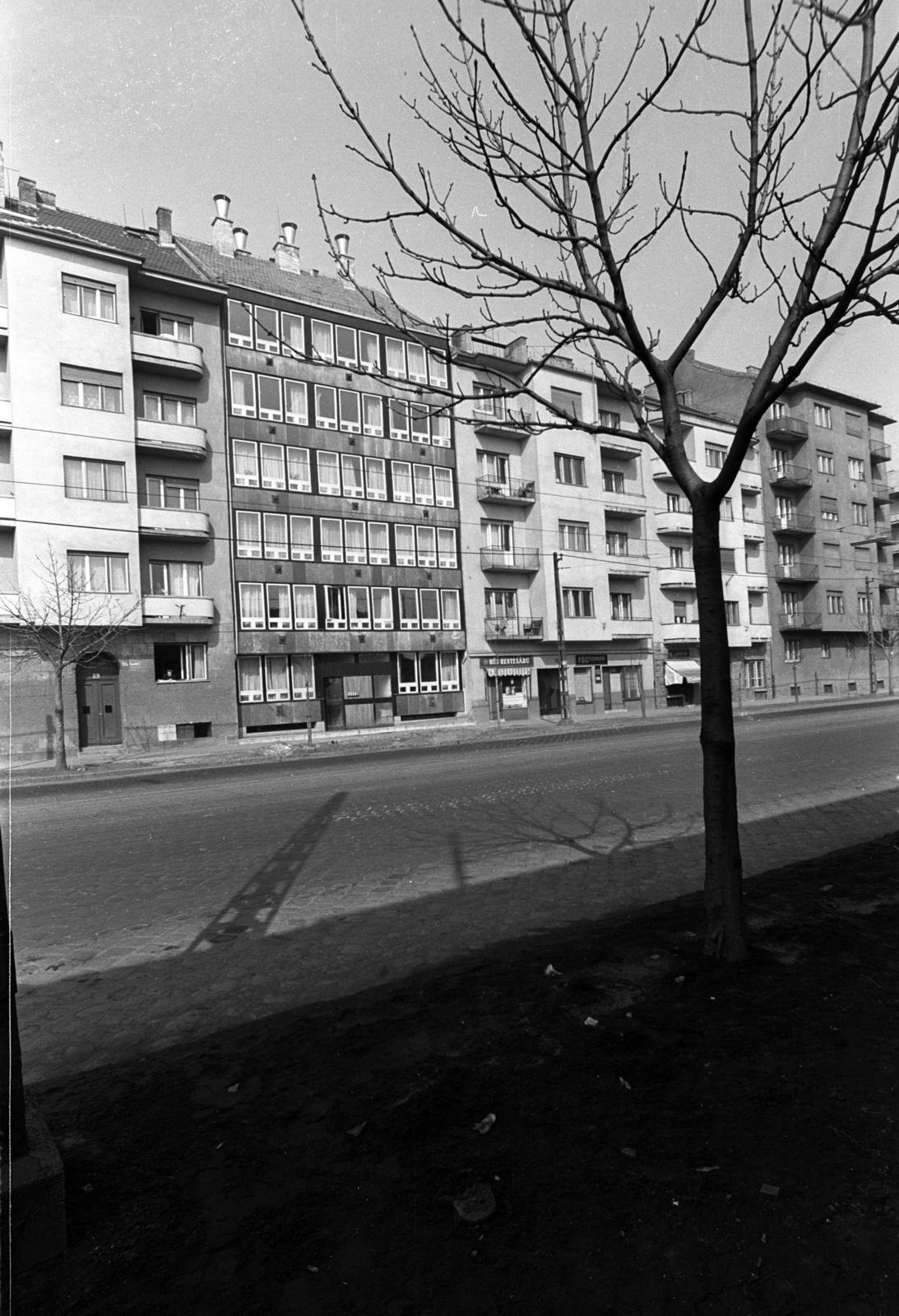 Magyarország, Budapest XI., Bartók Béla út a Hamzsabégi út irányából a Kökörcsin utca torkolata felé nézve., 1969, Erdei Katalin, Budapest, Fortepan #100907