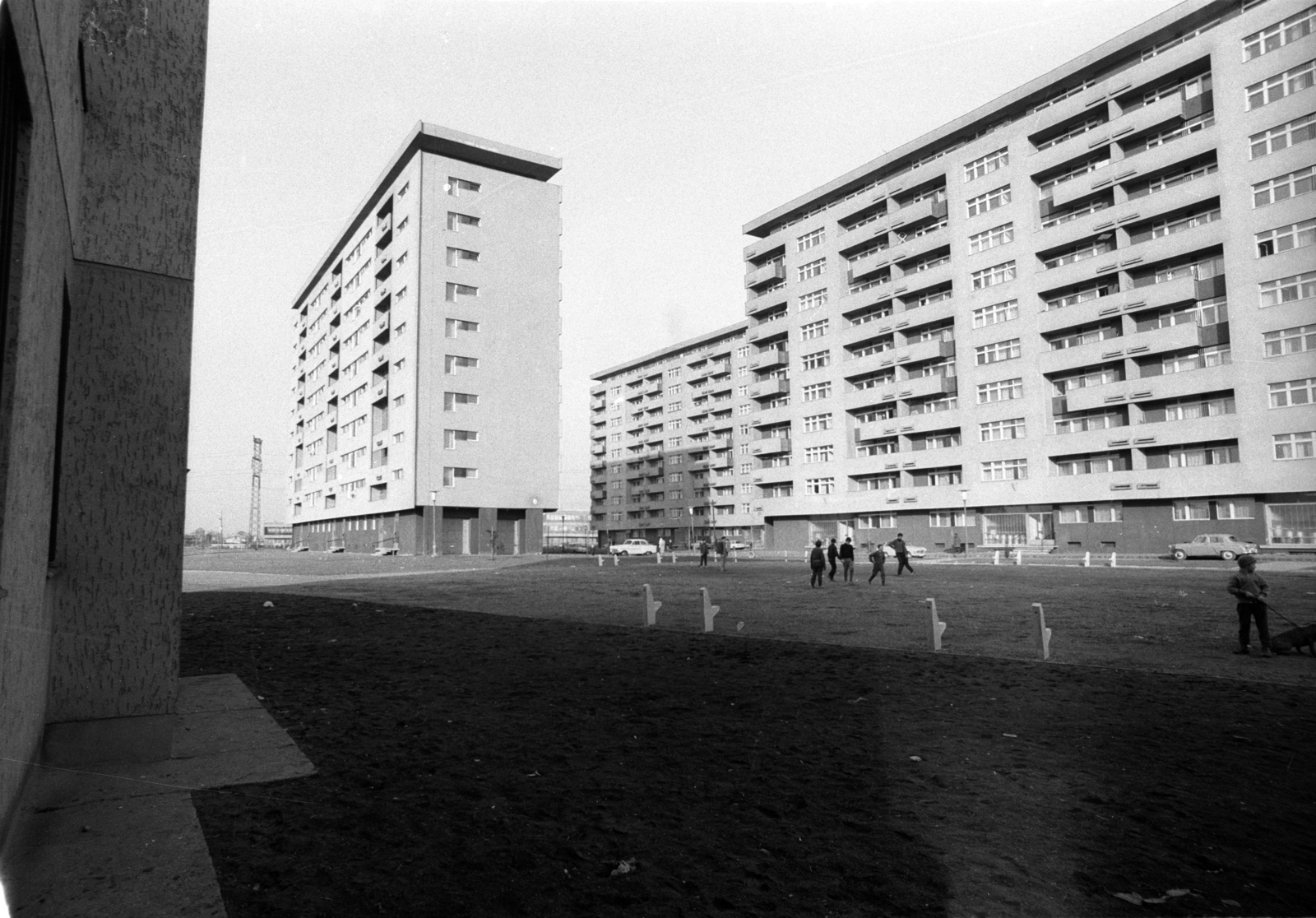 Hungary, Budapest XIV., Kacsóh Pongrác úti lakótelep, a Rákospatak park épületei a Kacsóh Pongrác út 119-123. számú ház mögül nézve., 1968, Erdei Katalin, blocks, tall house, Budapest, Fortepan #100919
