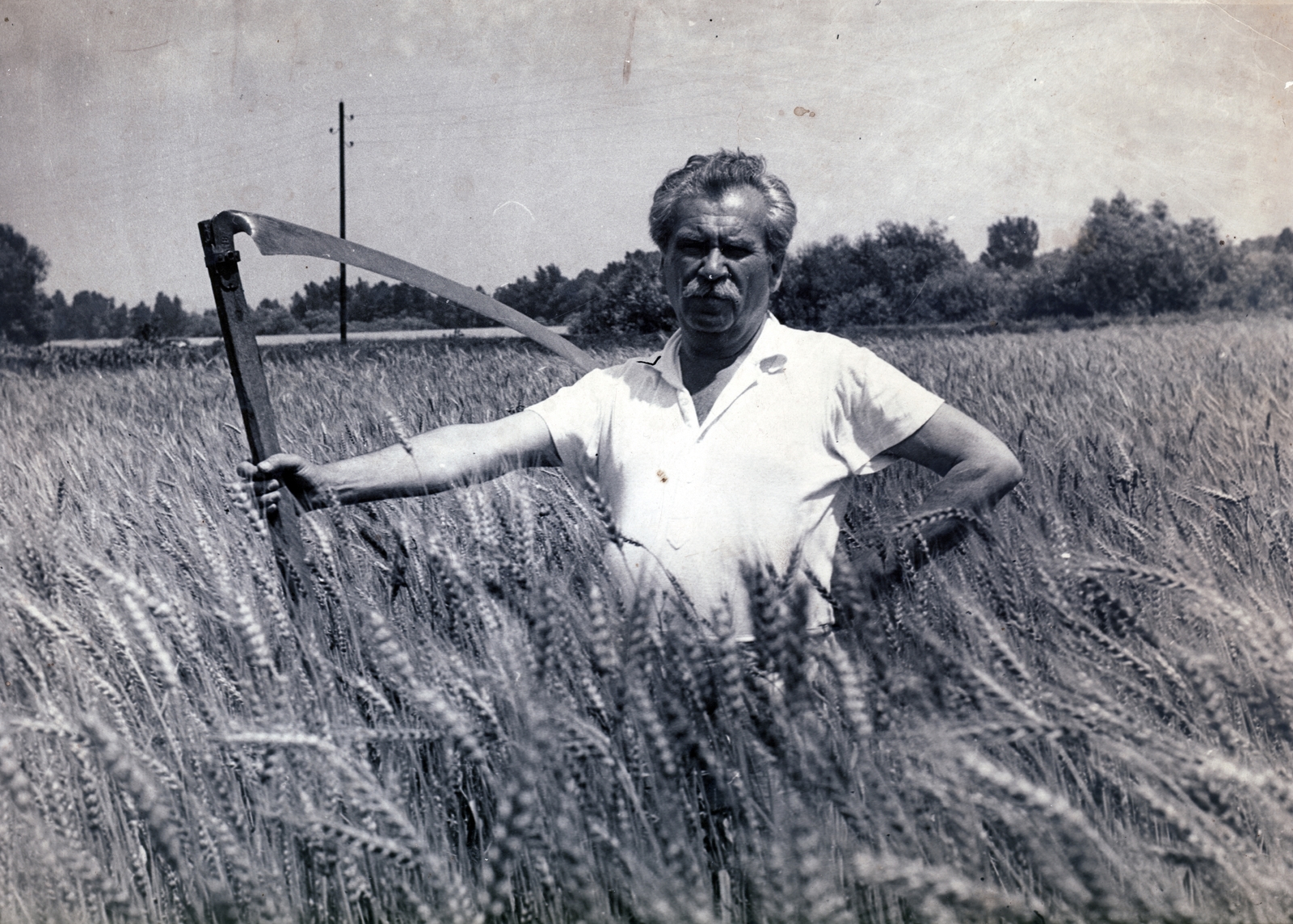Hungary, Móricz Zsigmond író., 1941, Zsivkov Anita - Koós Árpád / Kocsis András fényképei, celebrity, agriculture, harvest, scythe, wheat-field, moustache, writer, Fortepan #101197