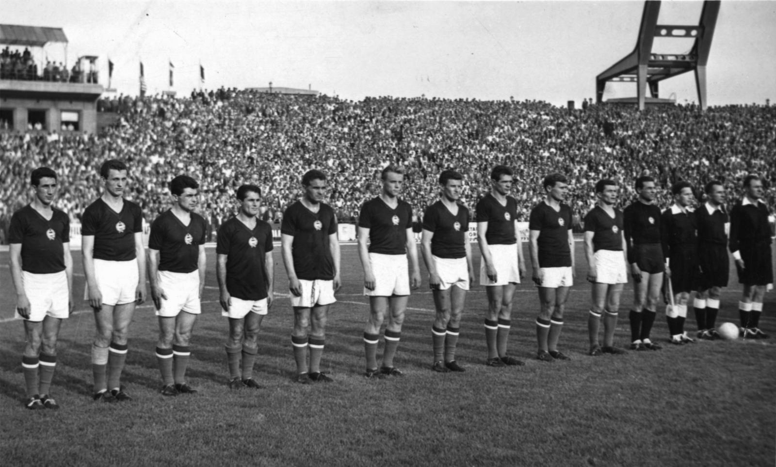 Hungary, Népstadion, Budapest XIV., Magyarország - Ausztria (1:2) barátságos válogatott mérkőzés 1961. június 11-én. A magyar csapat tagjai: Göröcs, Albert, Fenyvesi, Sándor, Dalnoki, Solymosi, Sipos, Mátrai, Tichy, Kotász, Grosics., 1961, Kotász Antal, Budapest, Fortepan #101243
