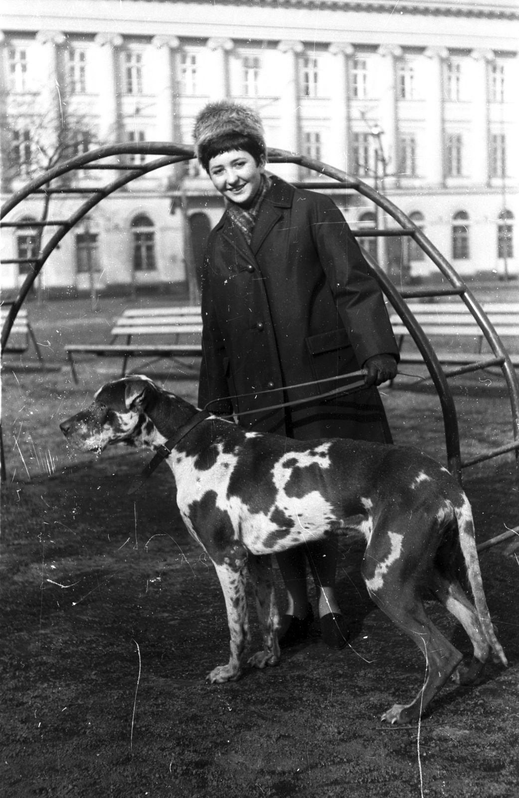 Hungary, Budapest V., Honvéd (Néphadsereg) tér a Honvéd utca utca felé nézve, háttérben az egykori Valero selyemgyár épülete., 1961, Magyar Pál, dog, Budapest, Fortepan #101443