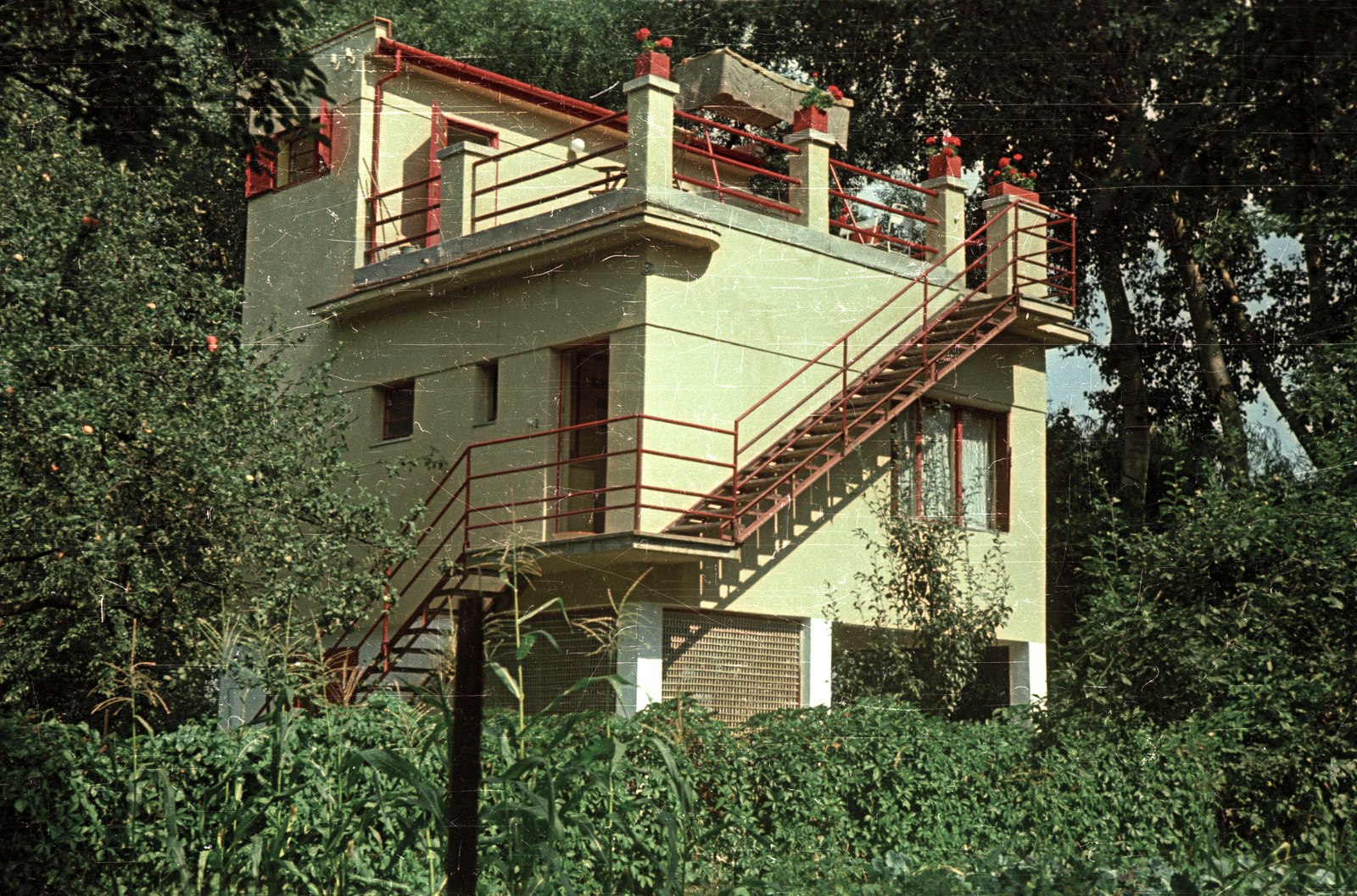 1964, Magyar Pál, colorful, Fortepan #101515