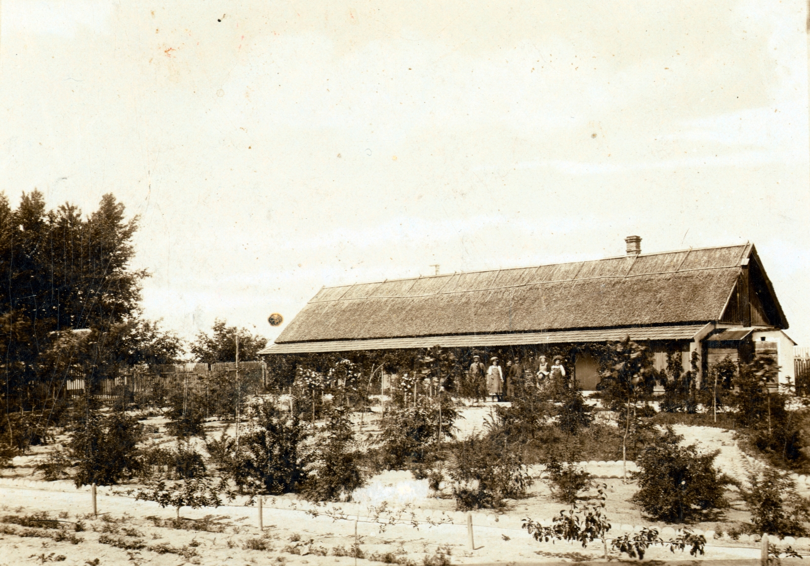 Hungary, Székesfehérvár, Városmajor., 1910, Pápay Miklós, thatched roof, garden, Fortepan #101582