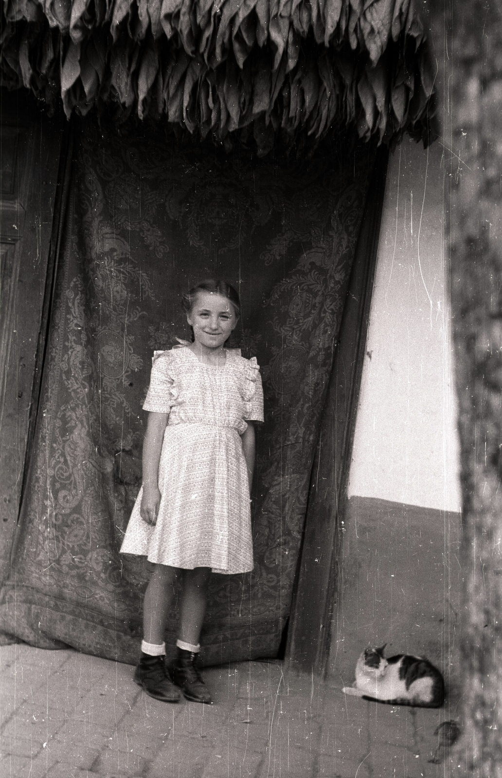 1940, Győző József, cat, smile, girl, dress, Fortepan #101594