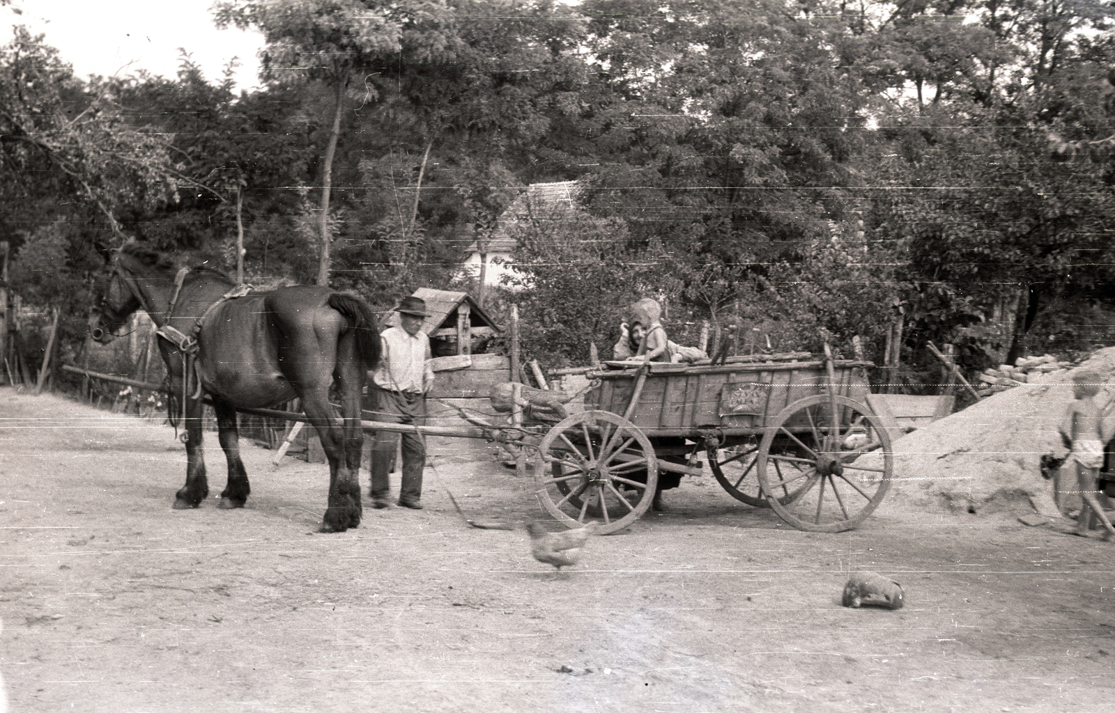 1947, Győző József, grandparent, kid, peasant, chariot, horse, Fortepan #101631