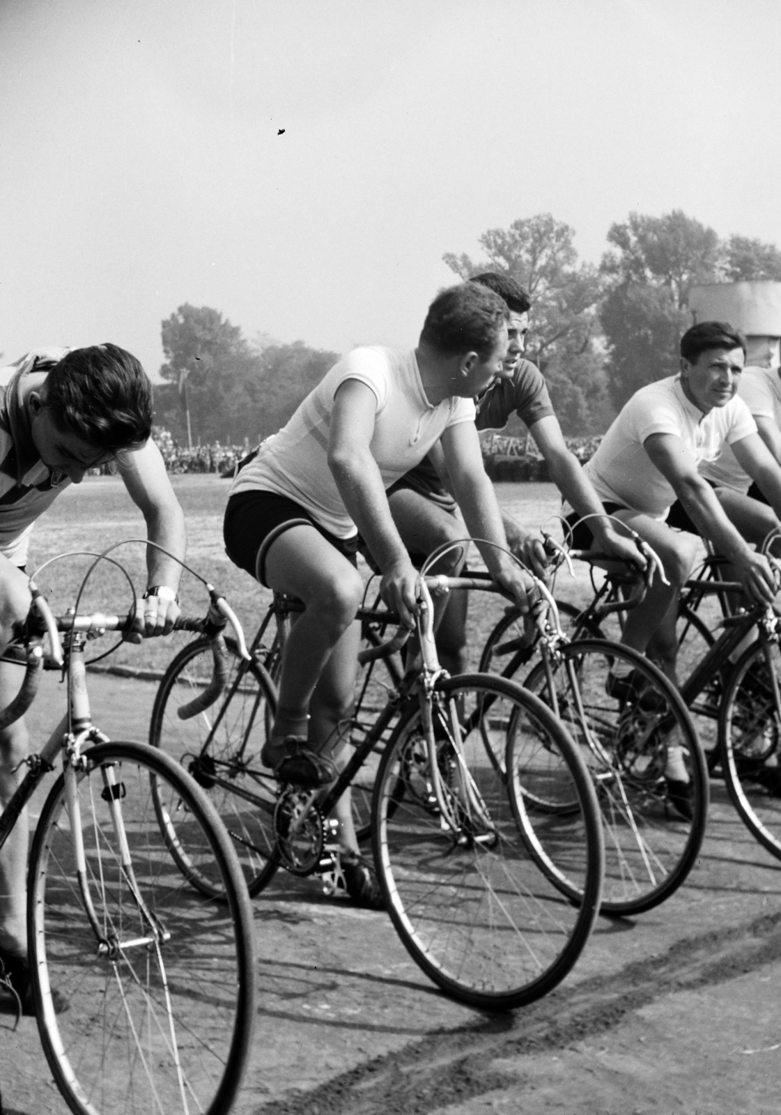 1957, Rigó László, bicycle, racing bicycle, Fortepan #101671