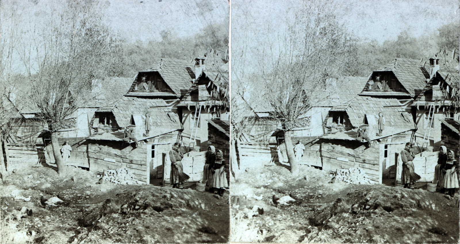 Románia,Erdély, Brassó, Bolgárszeg városrész., 1905, Fortepan/Album007, sztereófotó, gyerekek, baromfi, parasztház, Fortepan #101875