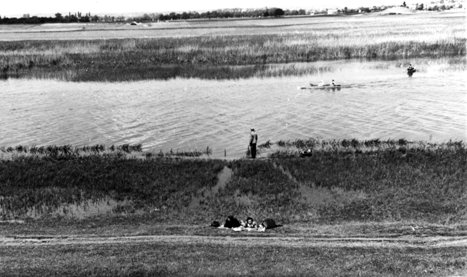 Magyarország, Budapest XXIII., Ráckevei (Soroksári)-Duna., 1946, Lajtai László, Budapest, nádas, folyó, Fortepan #101925
