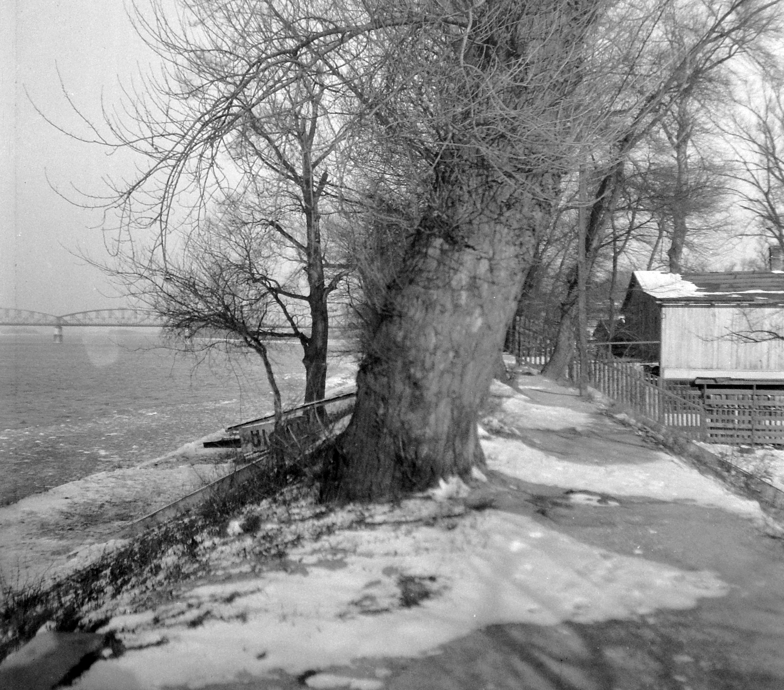Hungary, Budapest XIII., Népsziget, háttérben az Újpesti vasúti híd., 1943, Kurutz Márton, winter, railway bridge, Budapest, Fortepan #10204