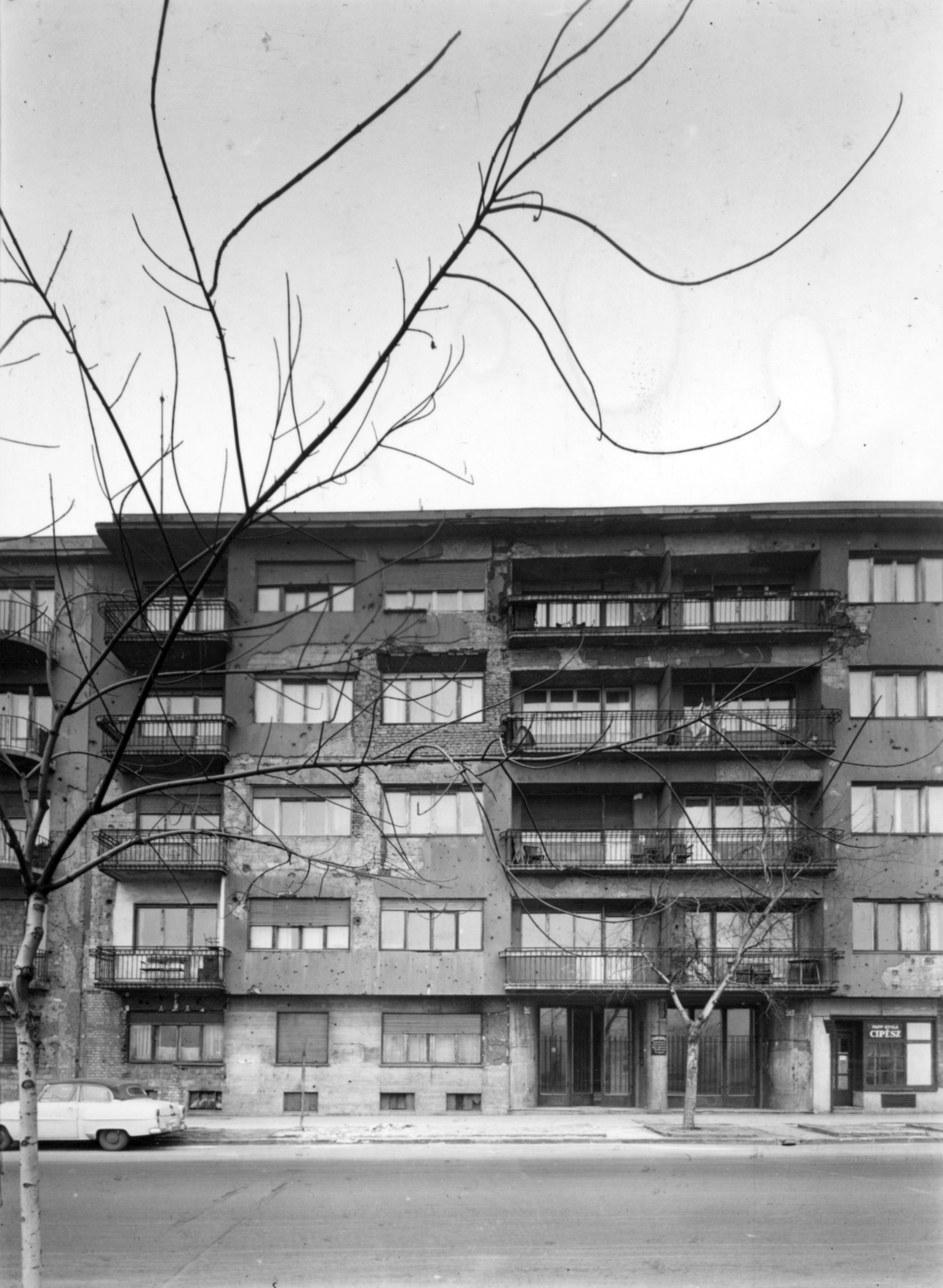 Hungary, Budapest I., Attila út 101. A kép forrását kérjük így adja meg: Fortepan / Budapest Főváros Levéltára. Levéltári jelzet: HU_BFL_XV_19_c_11, 1959, Budapest Főváros Levéltára / Városrendezési és Építészeti Osztályának fényképei, A Fővárosi Tanács VB Városrendezési és Építészeti Osztályának, Budapest, Fortepan #102749