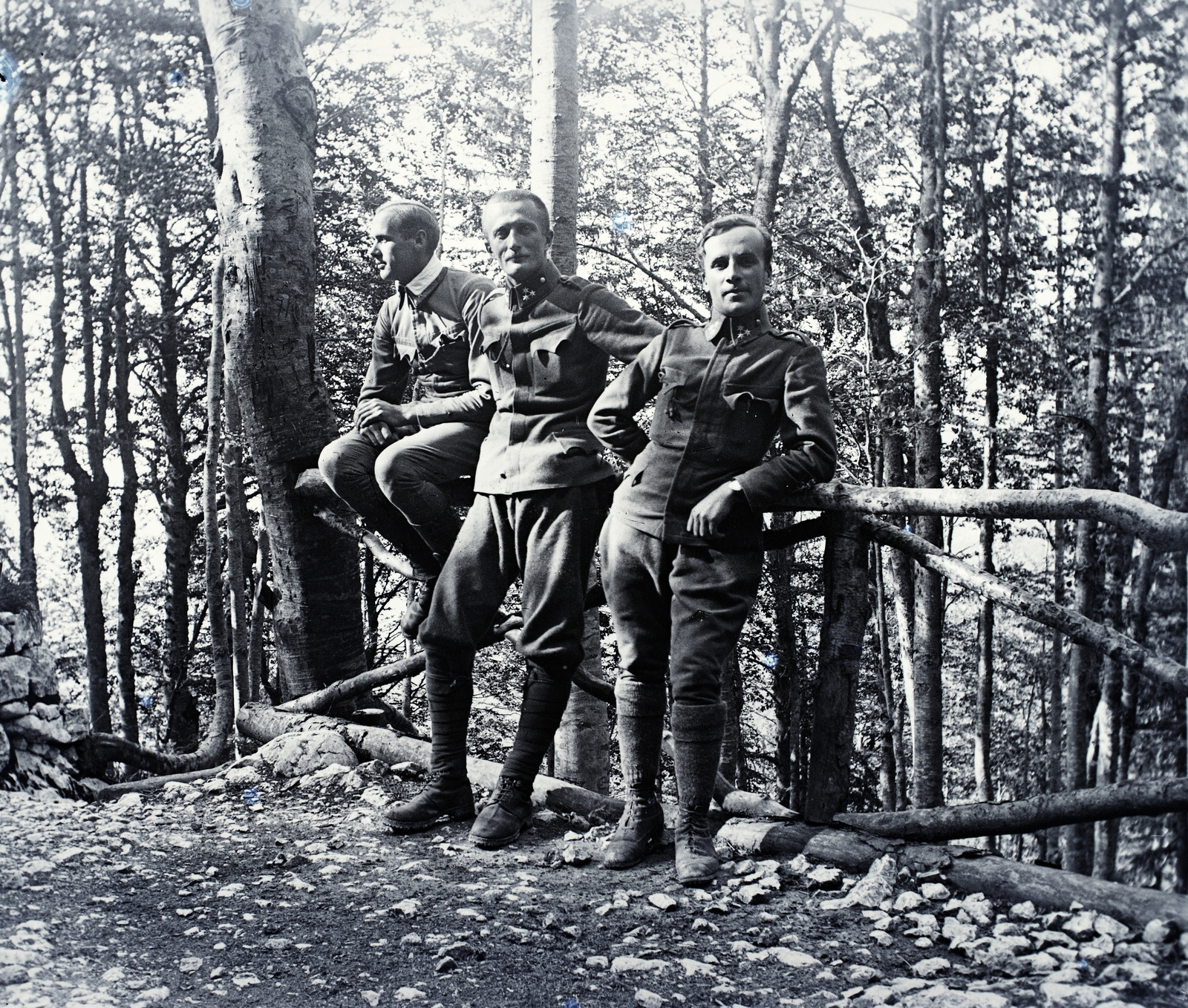 1917, Kurutz Márton, első világháború, erdő, egyenruha, korlát, csoportkép, férfiak, front, korláton ülni, Fortepan #10378