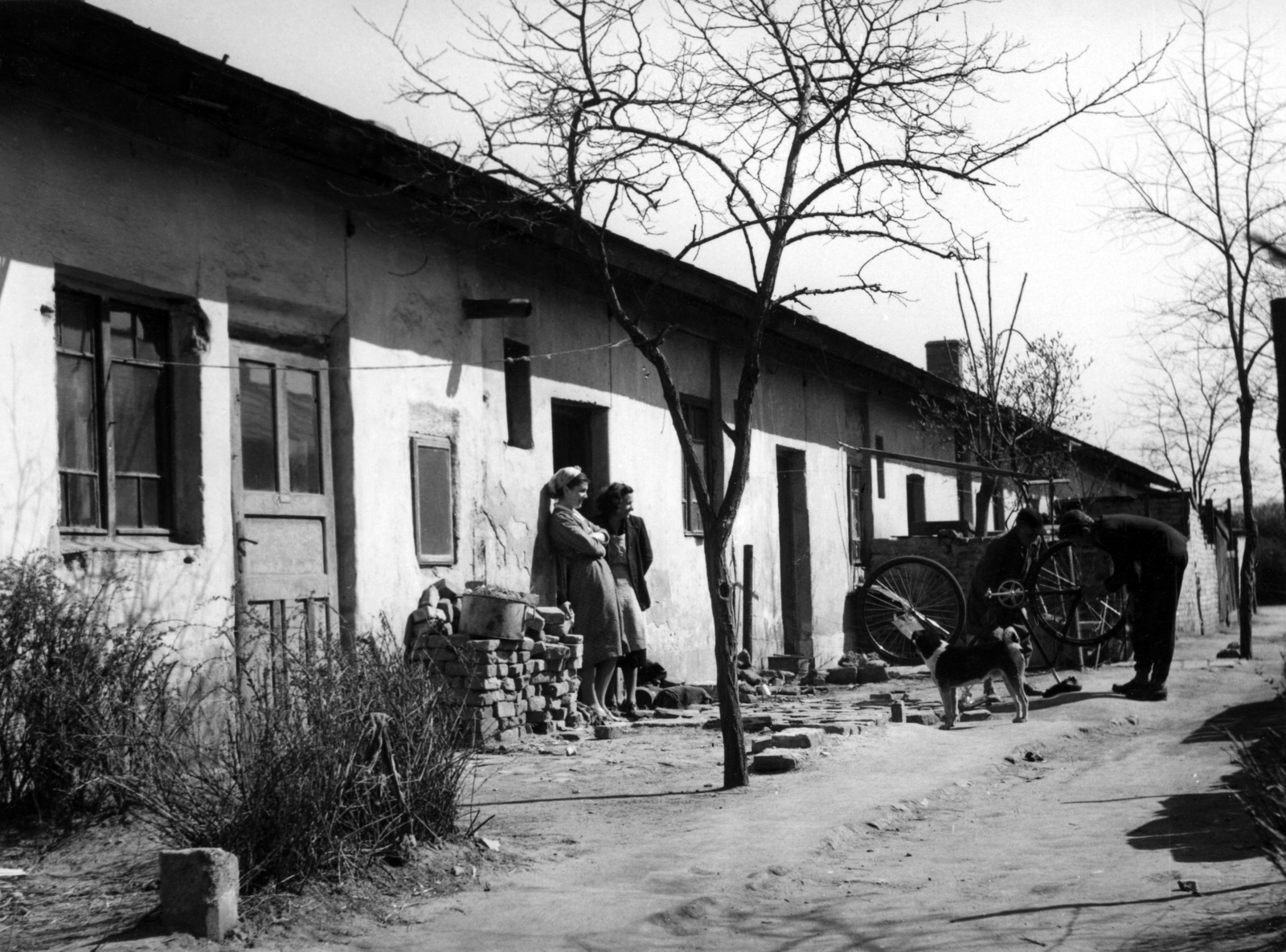 Hungary, Budapest IX., Mária Valéria telep. A kép forrását kérjük így adja meg: Fortepan / Budapest Főváros Levéltára. Levéltári jelzet: HU_BFL_XV_19_c_11, 1957, Budapest Főváros Levéltára / Városrendezési és Építészeti Osztályának fényképei, bicycle, dog, women, men, genre painting, Budapest, Fortepan #103816