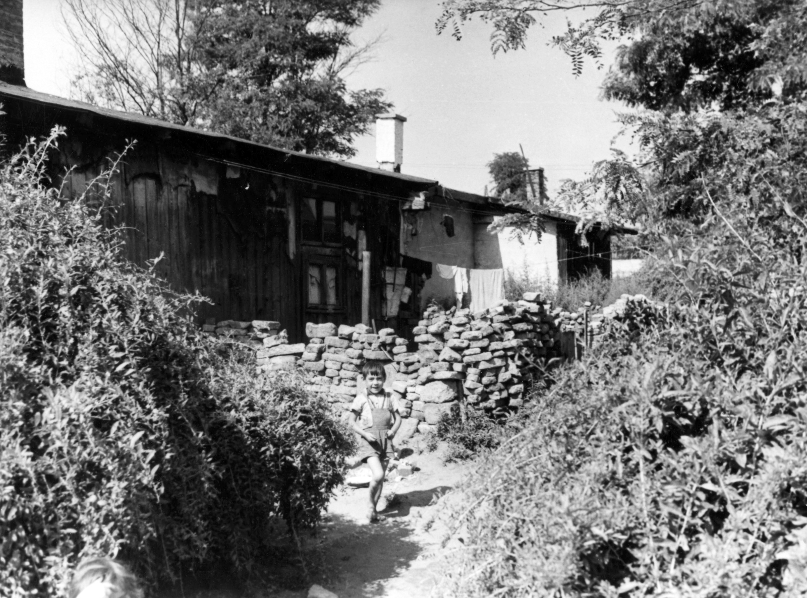 Magyarország, Budapest IX., Mária Valéria telep. A kép forrását kérjük így adja meg: Fortepan / Budapest Főváros Levéltára. Levéltári jelzet: HU_BFL_XV_19_c_11, 1961, Budapest Főváros Levéltára / Városrendezési és Építészeti Osztályának fényképei, A Fővárosi Tanács VB Városrendezési és Építészeti Osztályának, Budapest, Fortepan #103821