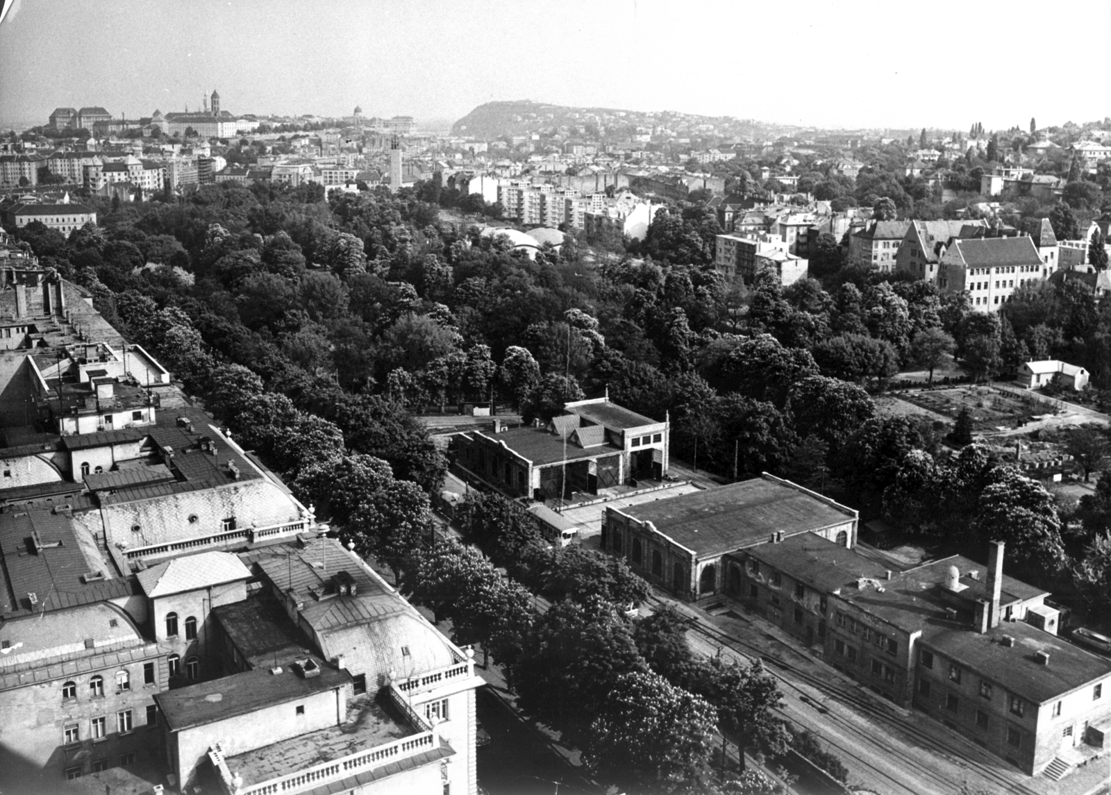 Magyarország, Budapest XII.,Budapest II., Városmajor, előtérben a Fogaskerekű végállomásának üzemi épületei, háttérben a városmajori templom tornya, távolabb a budai Vár és a Gellért-hegy. A felvétel az épülő Budapest körszállóból készült. A kép forrását kérjük így adja meg: Fortepan / Budapest Főváros Levéltára. Levéltári jelzet: HU_BFL_XV_19_c_11, 1966, Budapest Főváros Levéltára / Városrendezési és Építészeti Osztályának fényképei, A Fővárosi Tanács VB Városrendezési és Építészeti Osztályának, városkép, kilátás, fogaskerekű vasút, Budapest, Fortepan #103853