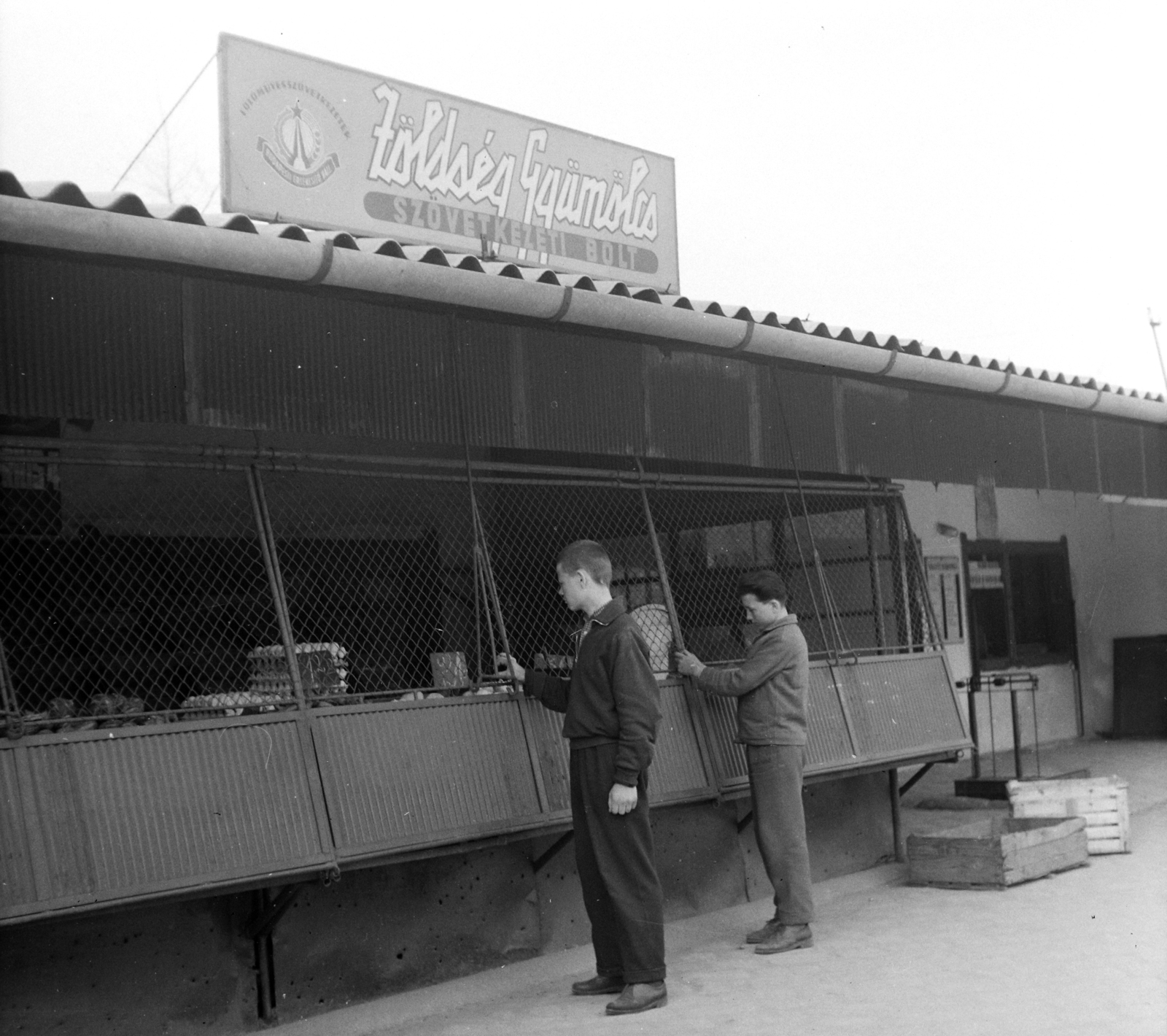 Magyarország, A kép forrását kérjük így adja meg: Fortepan / Budapest Főváros Levéltára. Levéltári jelzet: HU.BFL.XV.19.c.10, 1959, Budapest Főváros Levéltára / BRFK helyszínelési fényképei, BRFK Hivatala Bűnügyi Technikai Osztály, zöldséges, Bűnügy rekonstruálása, betörés, Fortepan #104090