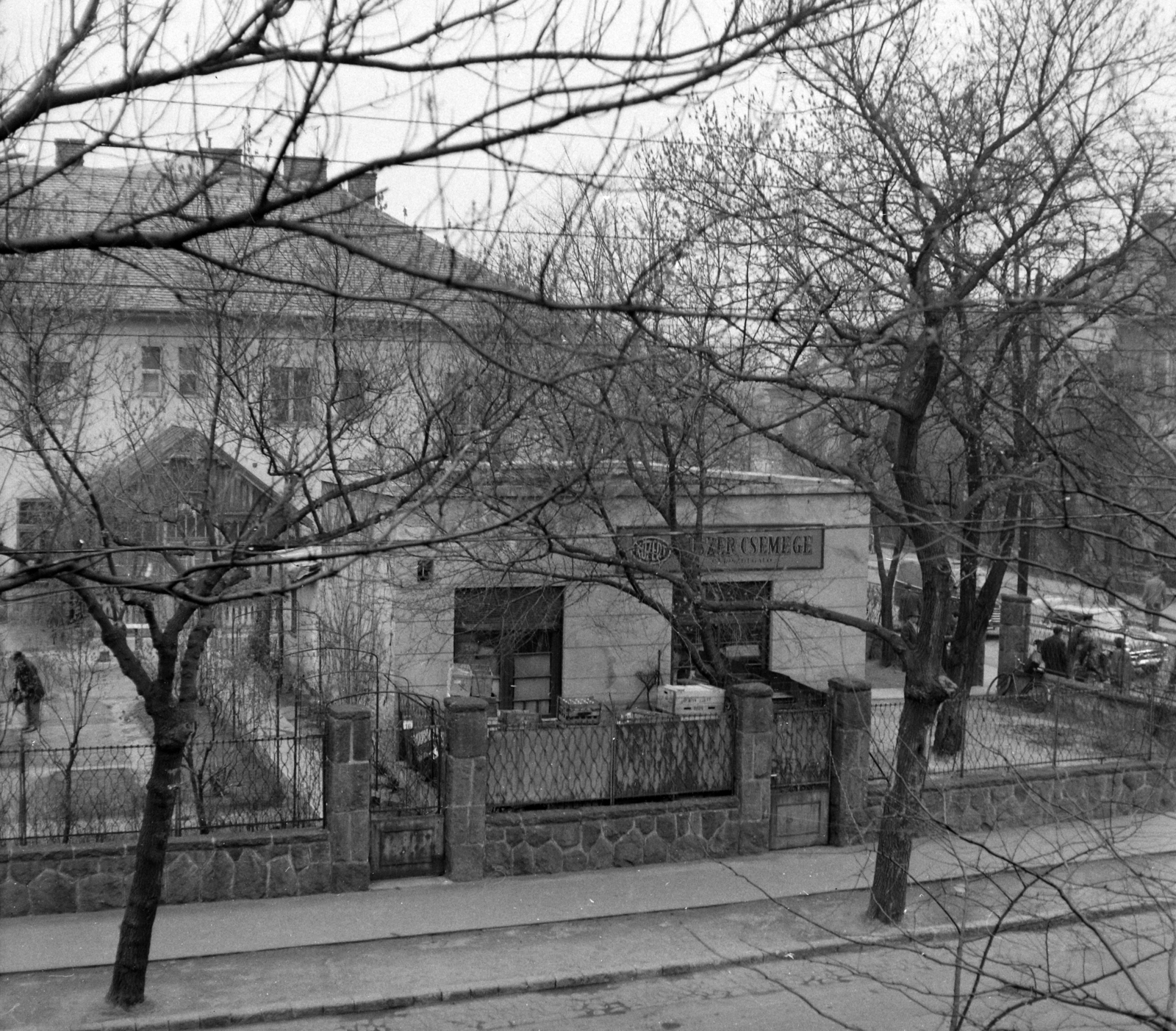 Hungary, Budapest XIV., közért a Gyarmat utca - Amerikai út sarkán. A kép forrását kérjük így adja meg: Fortepan / Budapest Főváros Levéltára. Levéltári jelzet: HU.BFL.XV.19.c.10, 1961, Budapest Főváros Levéltára / BRFK helyszínelési fényképei, BRFK Hivatala Bűnügyi Technikai Osztály, sign-board, street view, Budapest, grocery store, Közért Company, Fortepan #104350
