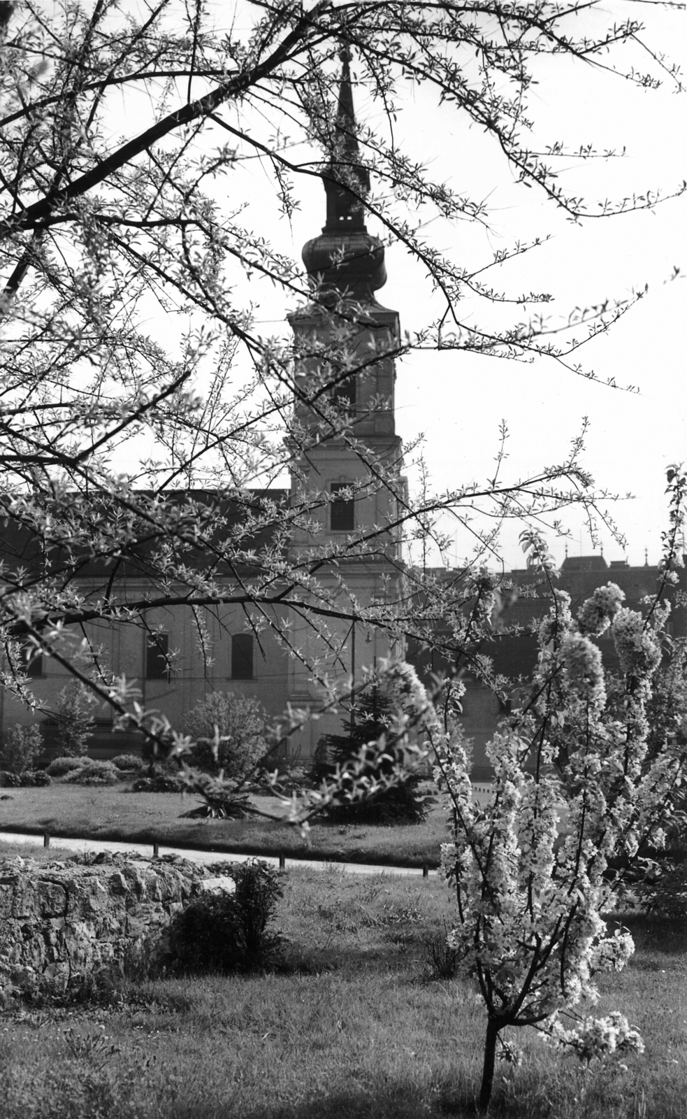 Hungary, Tabán, Budapest I., Alexandriai Szent Katalin-templom., 1943, Archiv für Zeitgeschichte ETH Zürich / Agnes Hirschi, Carl Lutz, spring, Budapest, steeple, Fortepan #105634