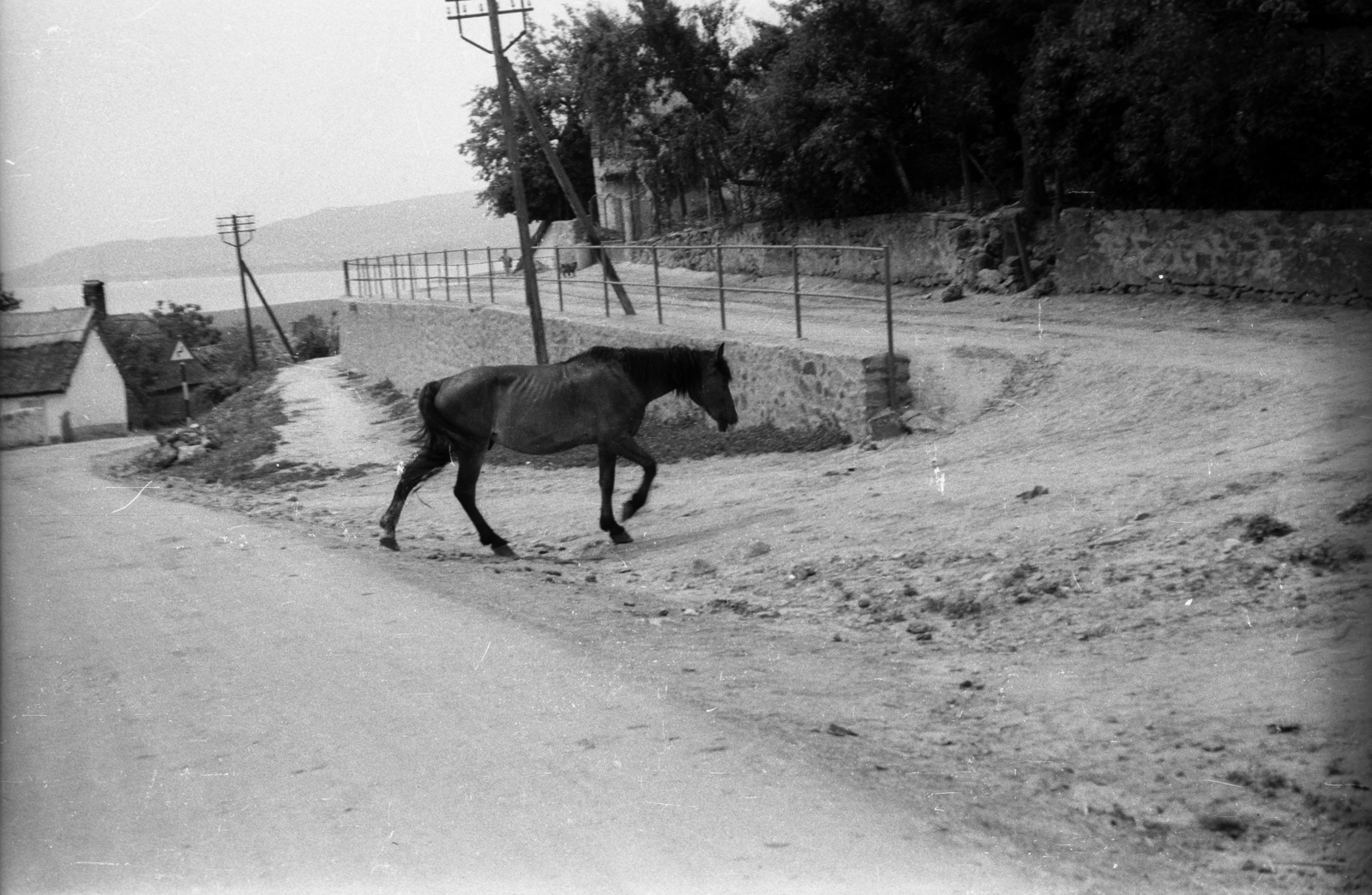 Magyarország,Balaton, Szigliget, a Kossuth utca és a Petőfi utca találkozása., 1962, Hunyady József, ló, Fortepan #105915