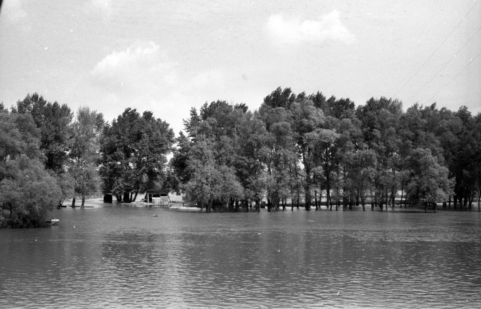 Szerbia, Duna-part Bánmonostor közelében., 1965, Hunyady József, Fortepan #106037