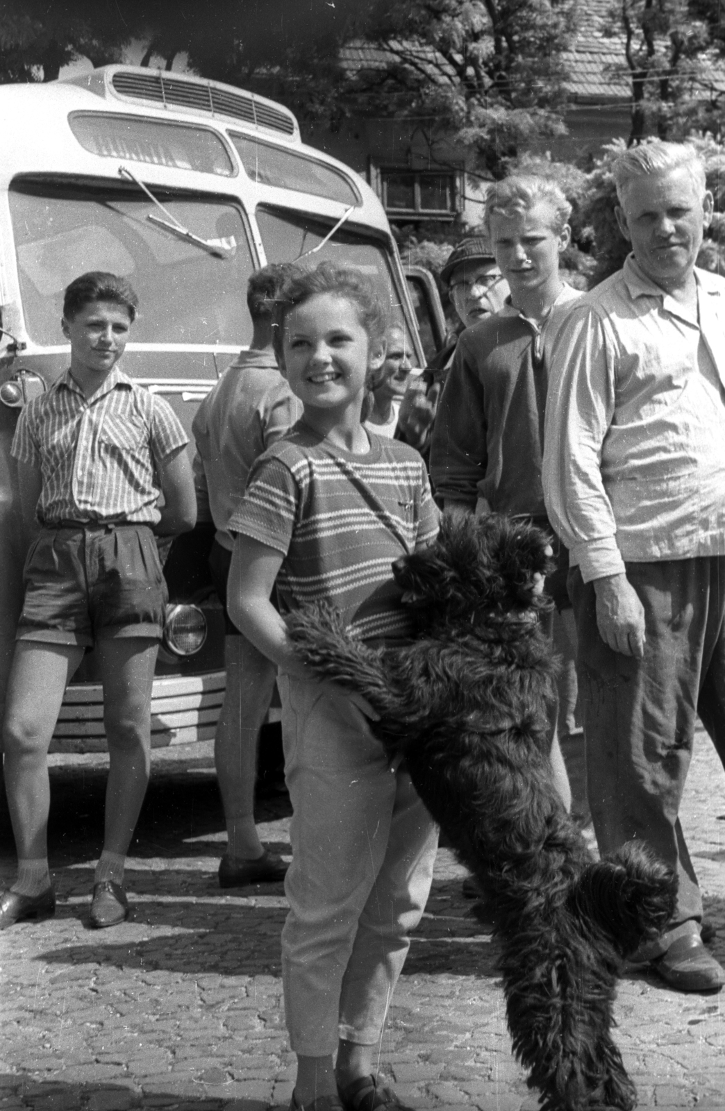 Hungary, Győr, Apor Vilmos püspök tere (Martinovics tér) a Székesegyház mellett, Lorraine Power gyermekszereplő. A felvétel Az aranyfej című film forgatásakor készült., 1963, Hunyady József, filming, dog, shepherd dog, Fortepan #106127
