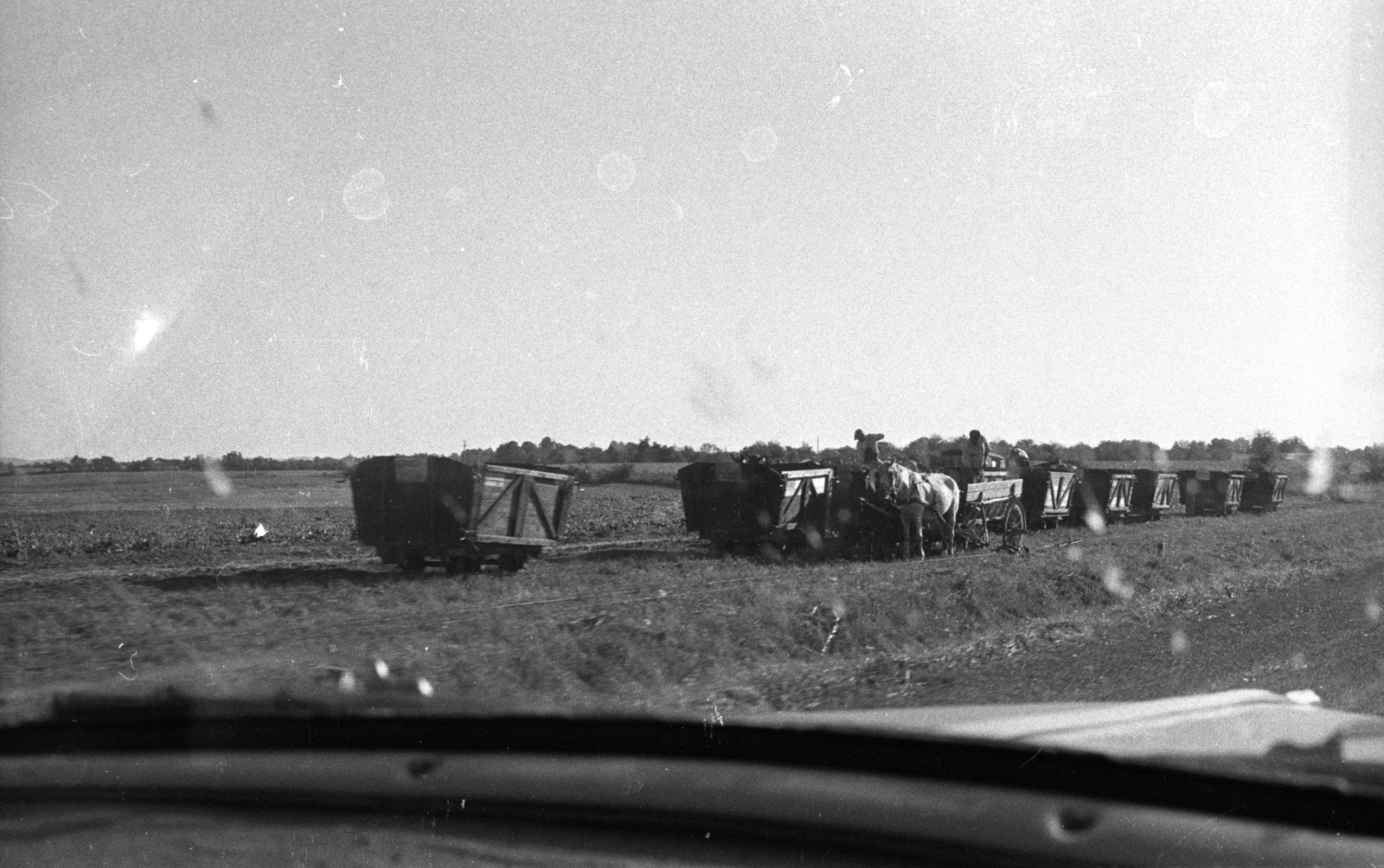 1966, Hunyady József, chariot, narrow-gauge railway, Fortepan #106262