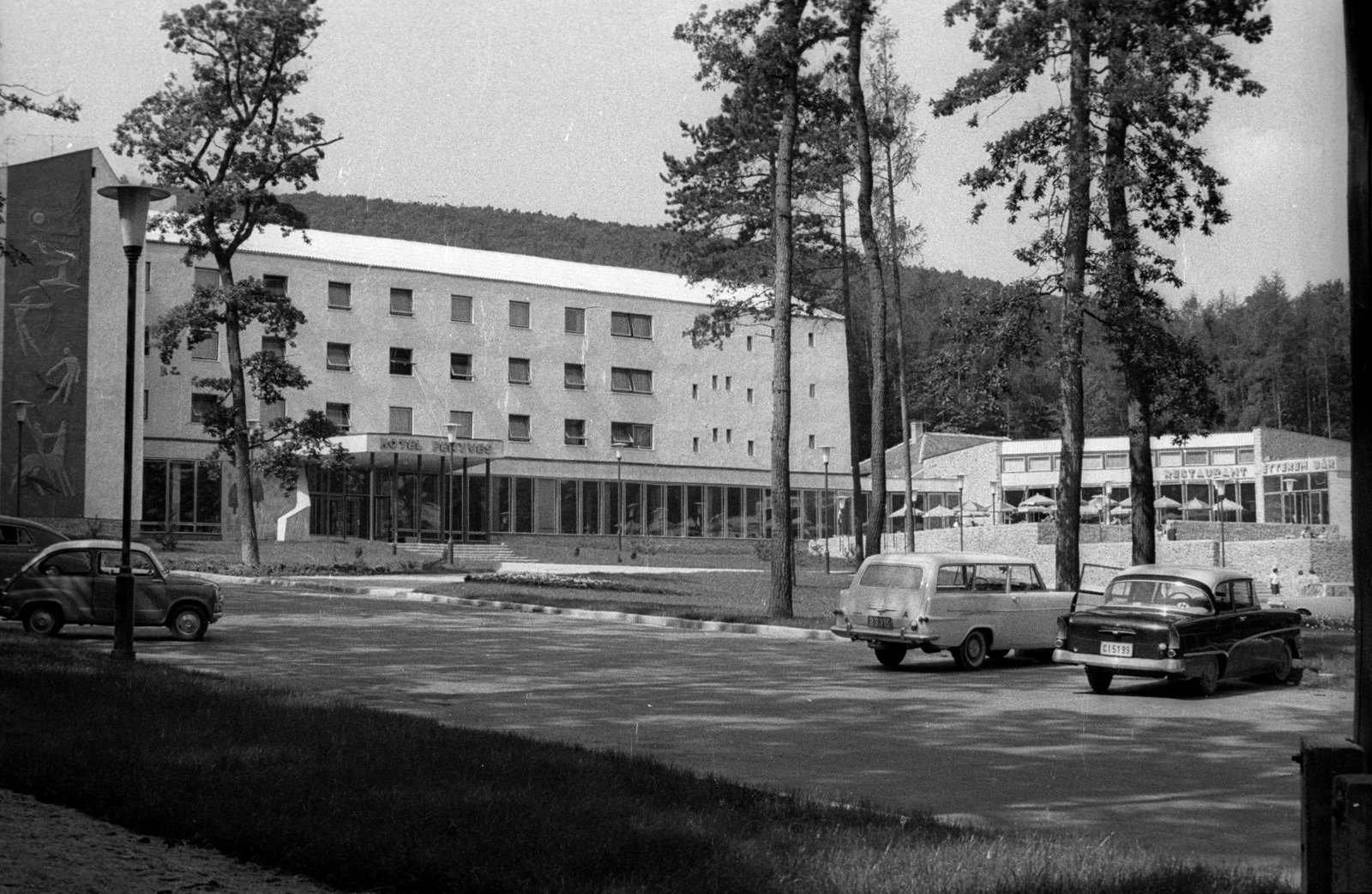 Magyarország, Sopron, Várisi út 4., Hotel Fenyves (később Hotel Lövér). Balra a homlokzaton Ludmány Ottó sgraffito-ja., 1965, Hunyady József, Fortepan #106323