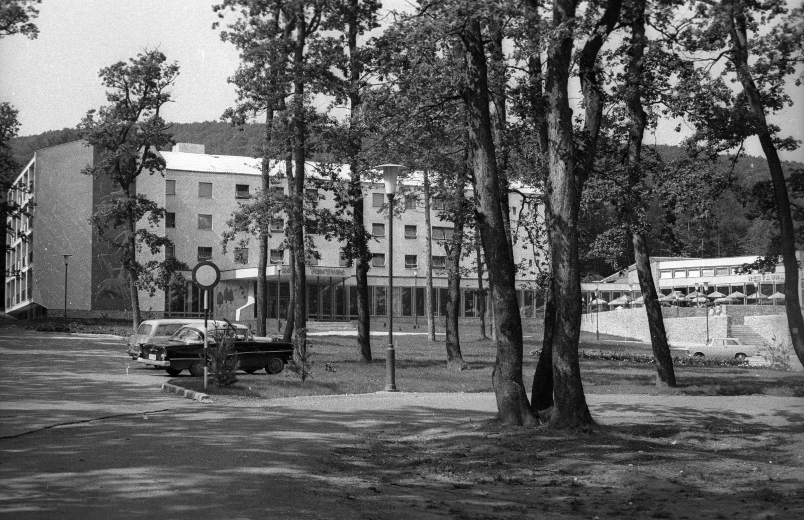 Magyarország, Sopron, Várisi út 4., Hotel Fenyves (később Hotel Lövér). Balra a homlokzaton Ludmány Ottó sgraffito-ja., 1965, Hunyady József, Fortepan #106324