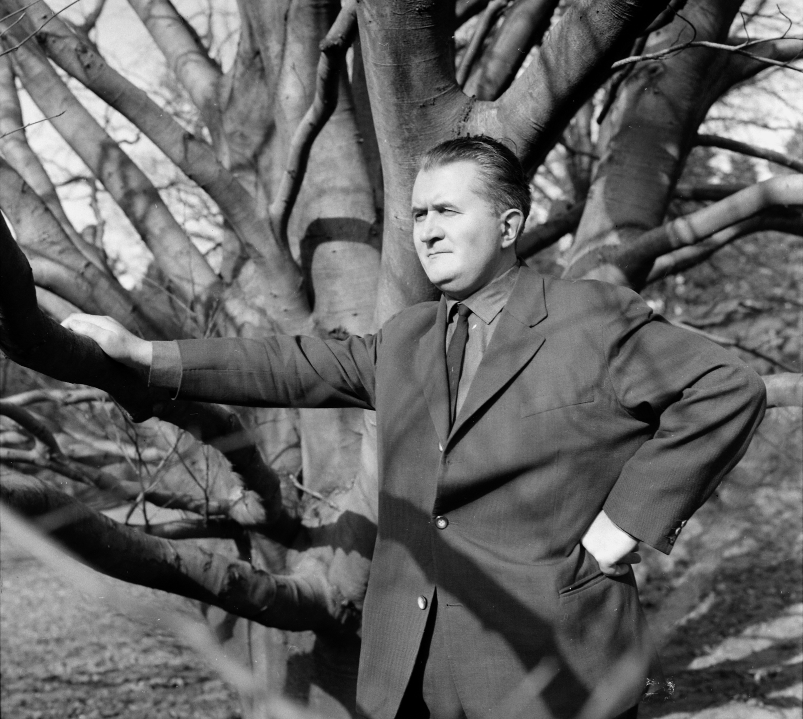 Magyarország,Balaton, Szigliget, Esterházy-kastély, az Írók Alkotóházának parkja. Cseres Tibor író., 1965, Hunyady József, Fortepan #106368