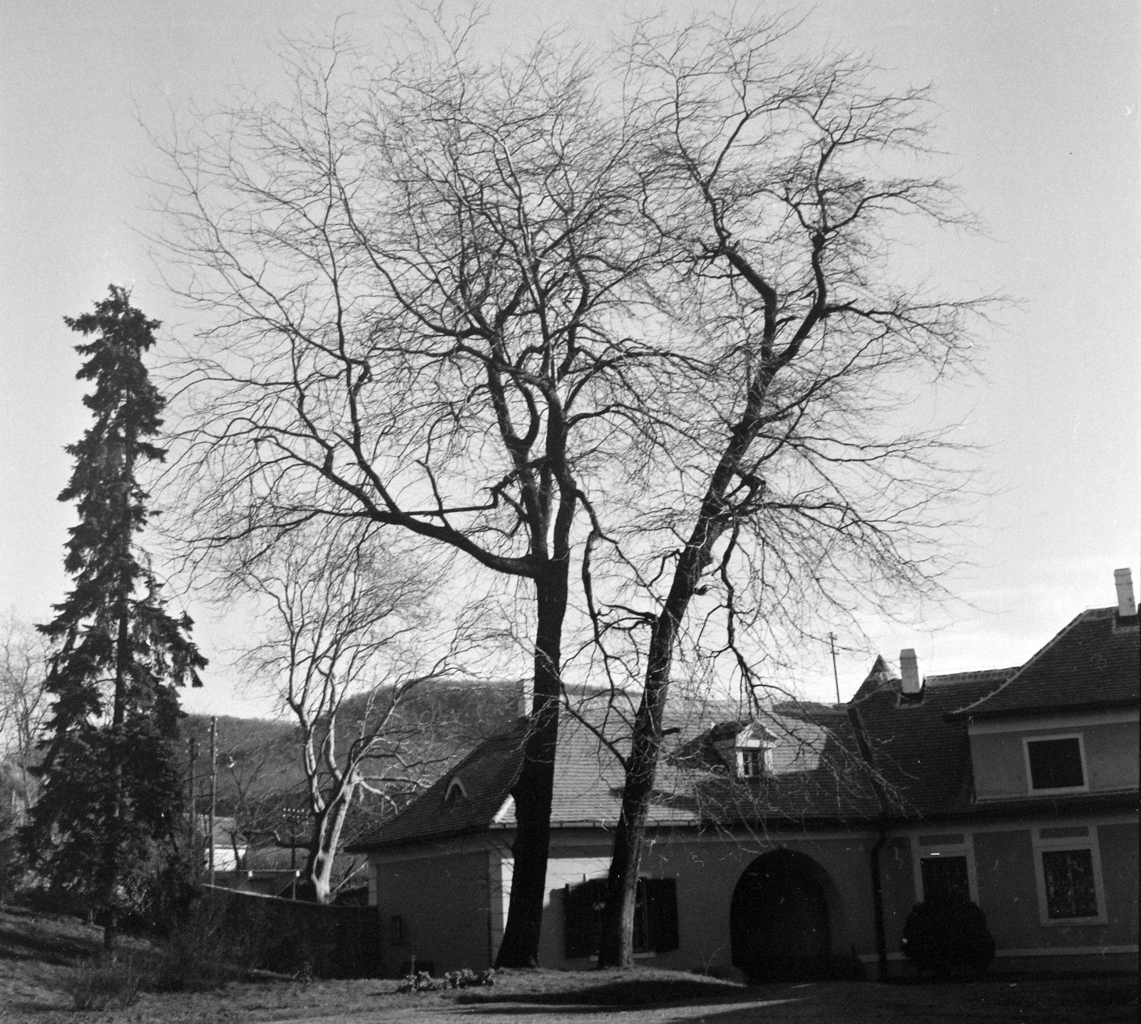Magyarország,Balaton, Szigliget, Esterházy-kastély, Írók Alkotóháza., 1965, Hunyady József, Fortepan #106384