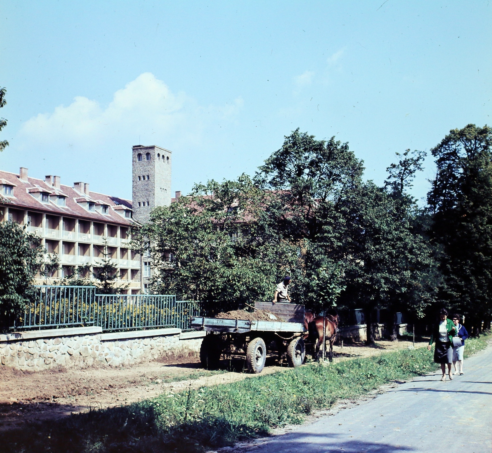 Hungary, Sopron, Várisi út 2., Állami Szanatórium (később Soproni Gyógyközpont Rehabilitációs Intézet)., 1965, Hunyady József, colorful, Fortepan #106492