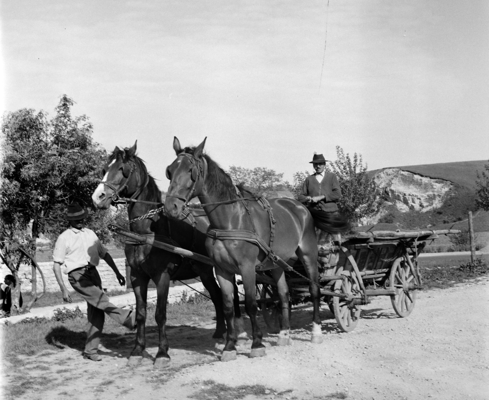 Hungary, Nemesvámos, a felvétel a Vámosi betyárcsárda mellett készült., 1968, Hunyady József, Horse-drawn carriage, Fortepan #106499