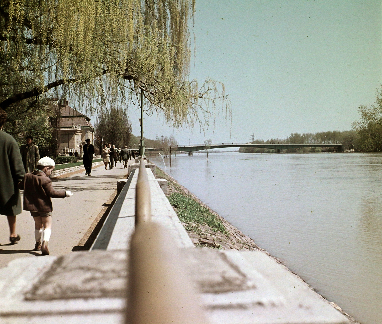 Hungary, Szolnok, Tisza-part, balra a Tisza Szálló, szemben a közúti híd., 1964, Hunyady József, colorful, Fortepan #106507